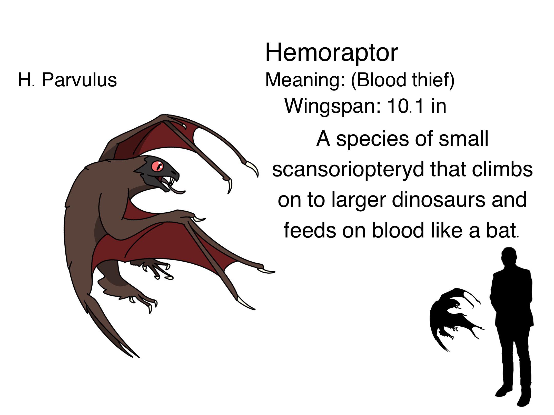 This Blood Sucking Bat Mnemonic Will Blow Your Mind - 0d1p8c6