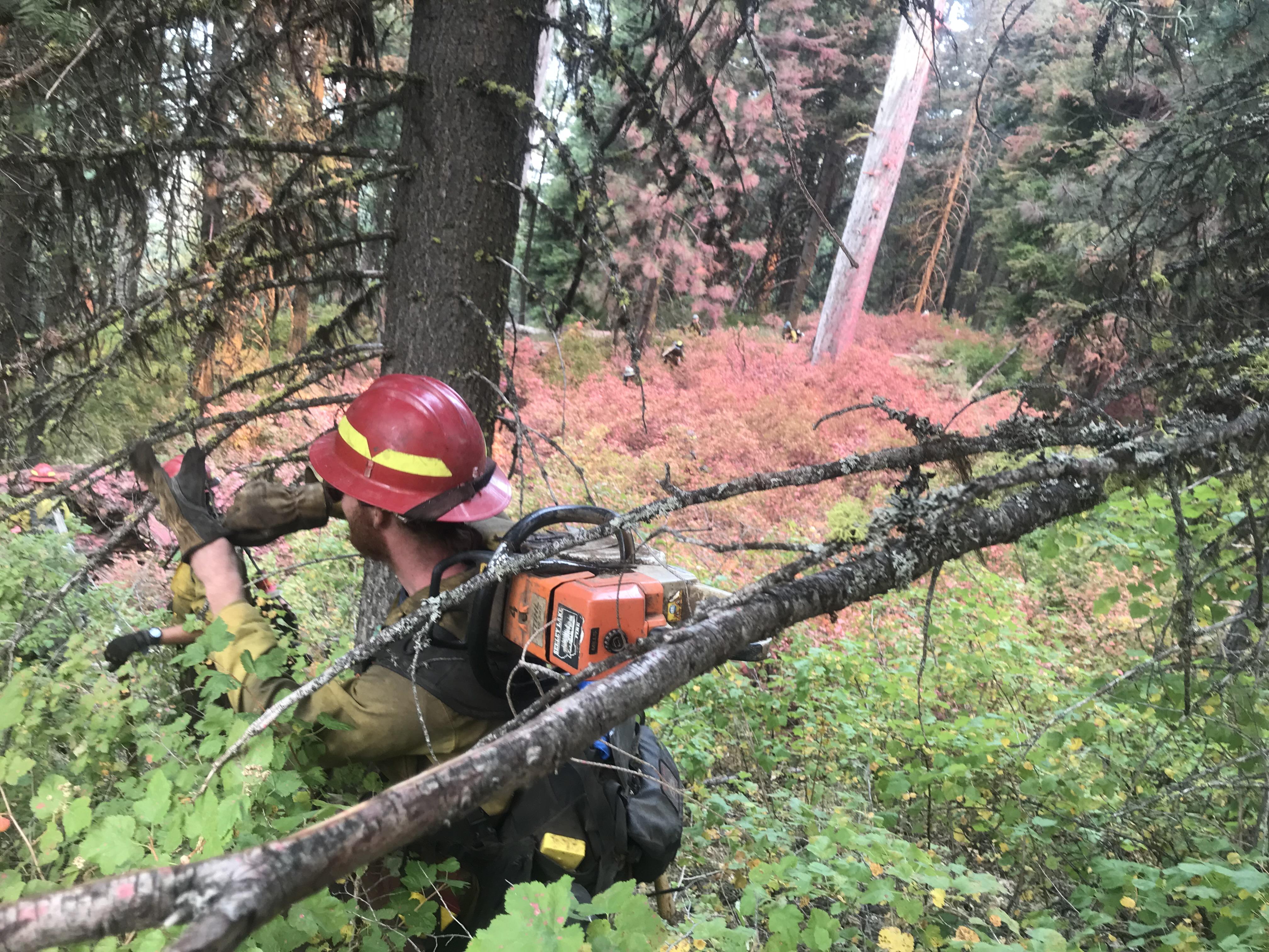 Adding fuel to the fire; here’s another one! Scrolller