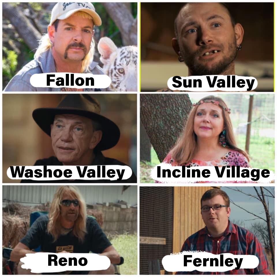 Am I Wrong Scrolller