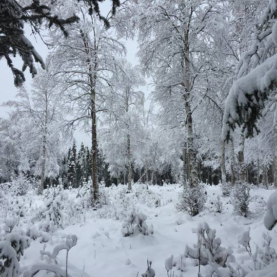Anchorage, Alaska (October 2016)