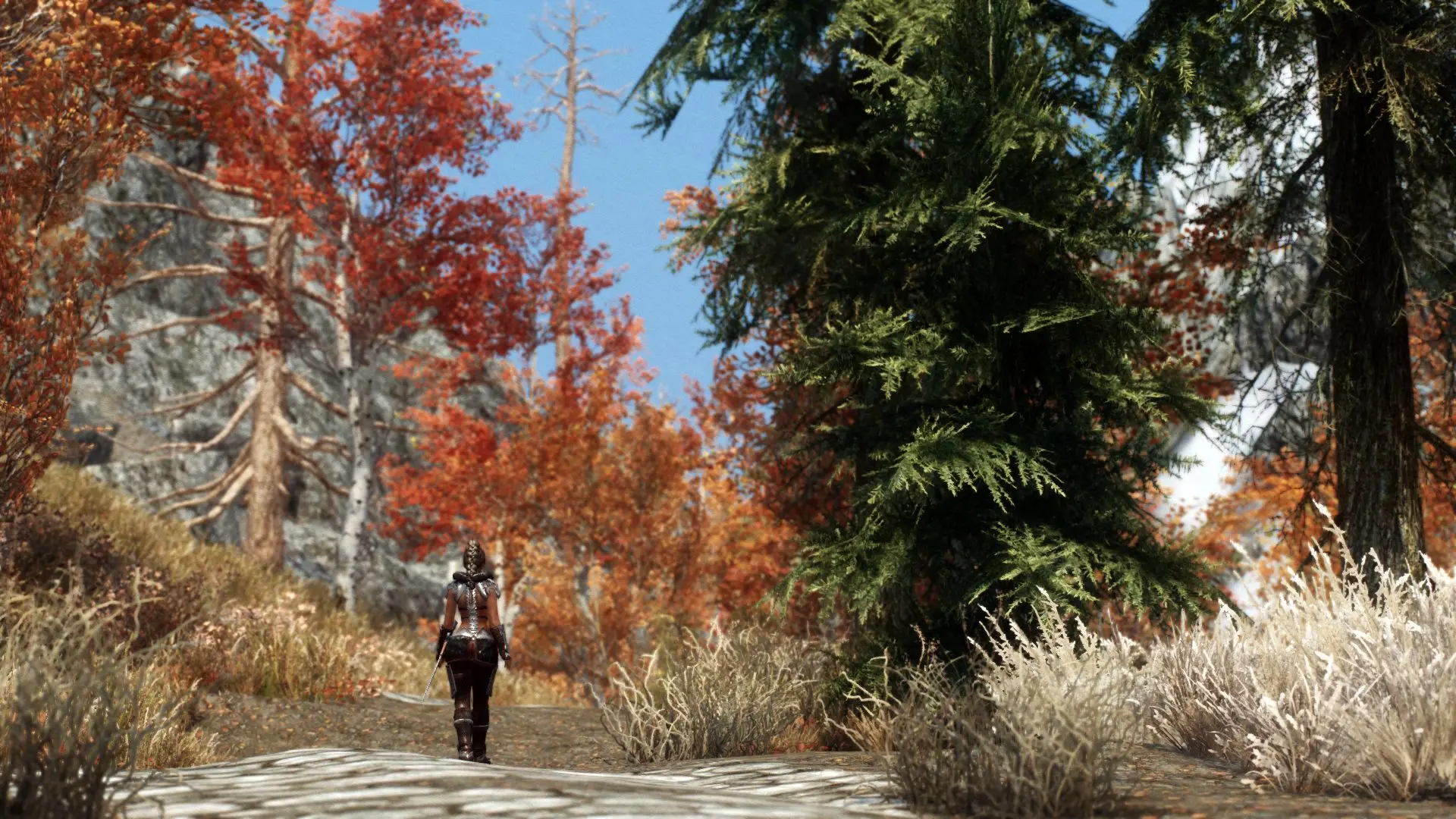 Busty brunette in fantasy armor being attacked by a feral wolf in a forest, monster on human, 3d