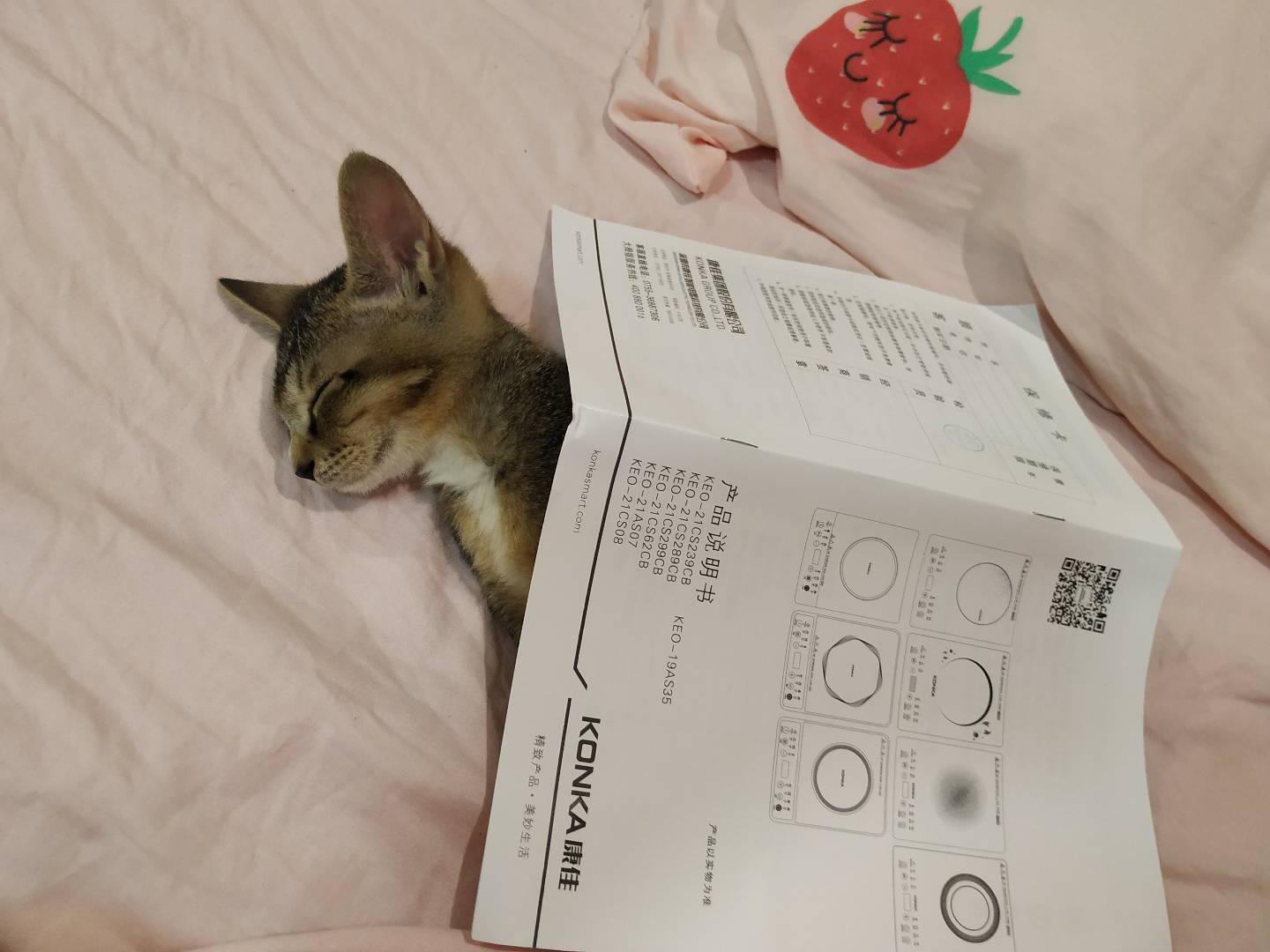 as a good mom I can't let her sleep without blanket Scrolller