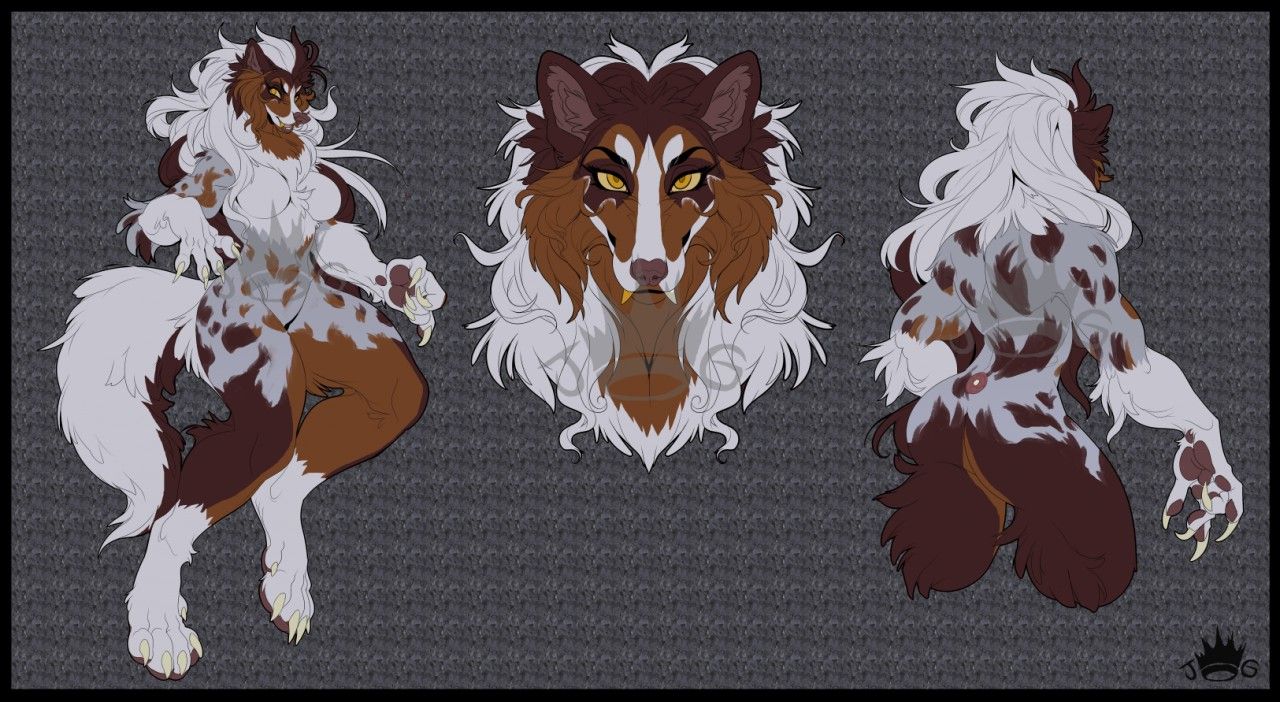 Aussie Shepard Werewolf by HandsomeHyperion | Scrolller
