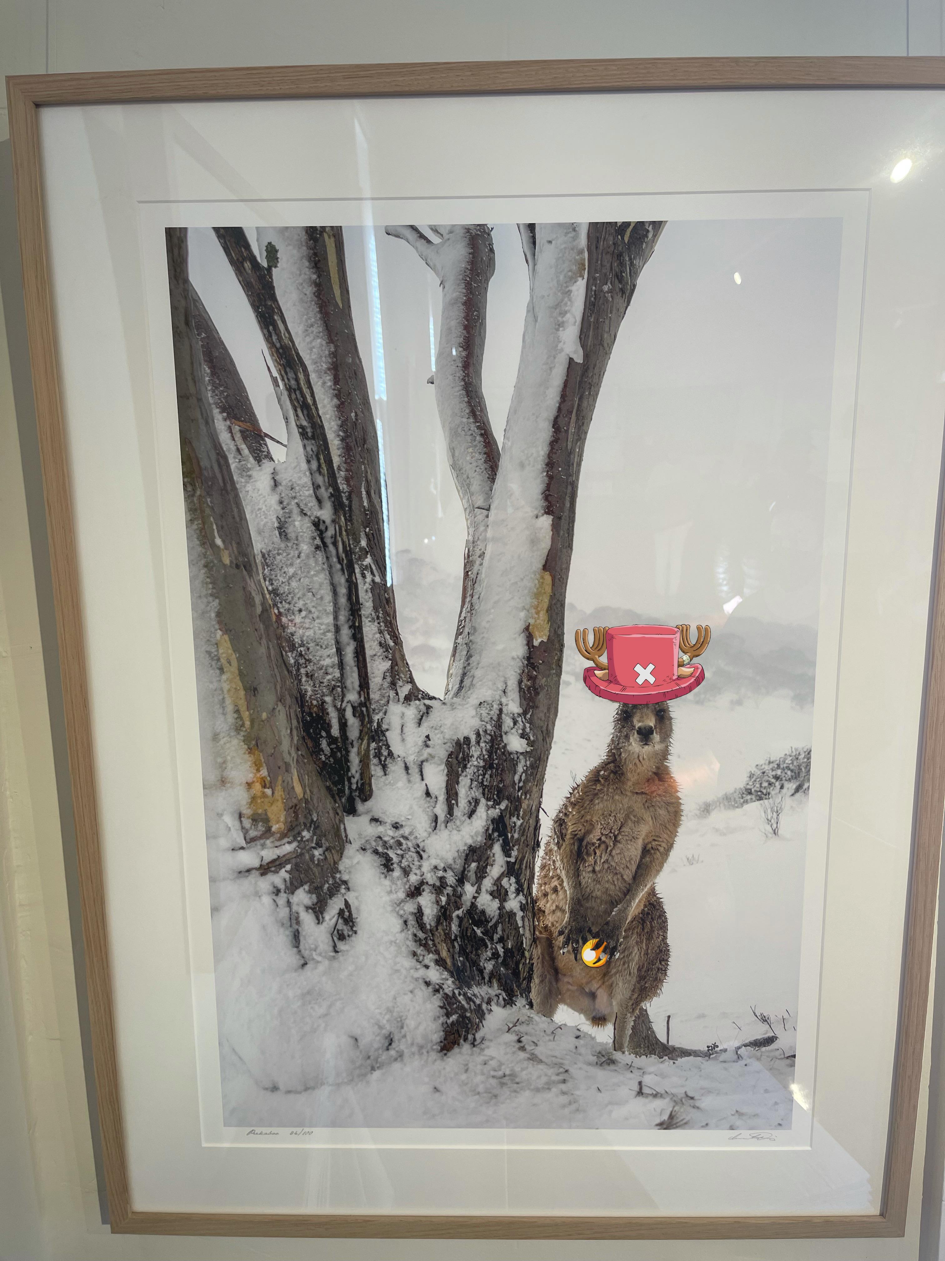 Australian Chopper- original photo by Charles Davis | Scrolller