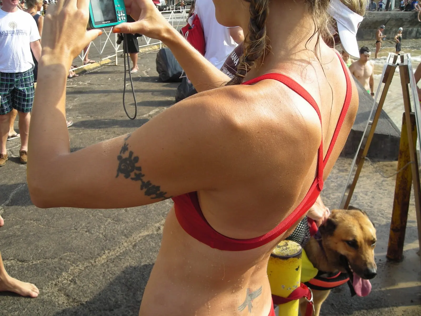 Bare shoulders taking pictures of presumably more bare shoulders... Bonus Turtle? Tattoo
