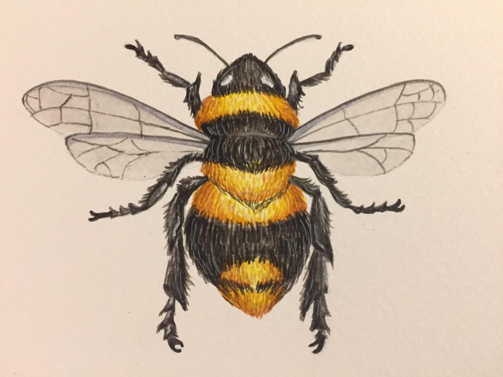 Bee, Me, Watercolour, 2021 | Scrolller