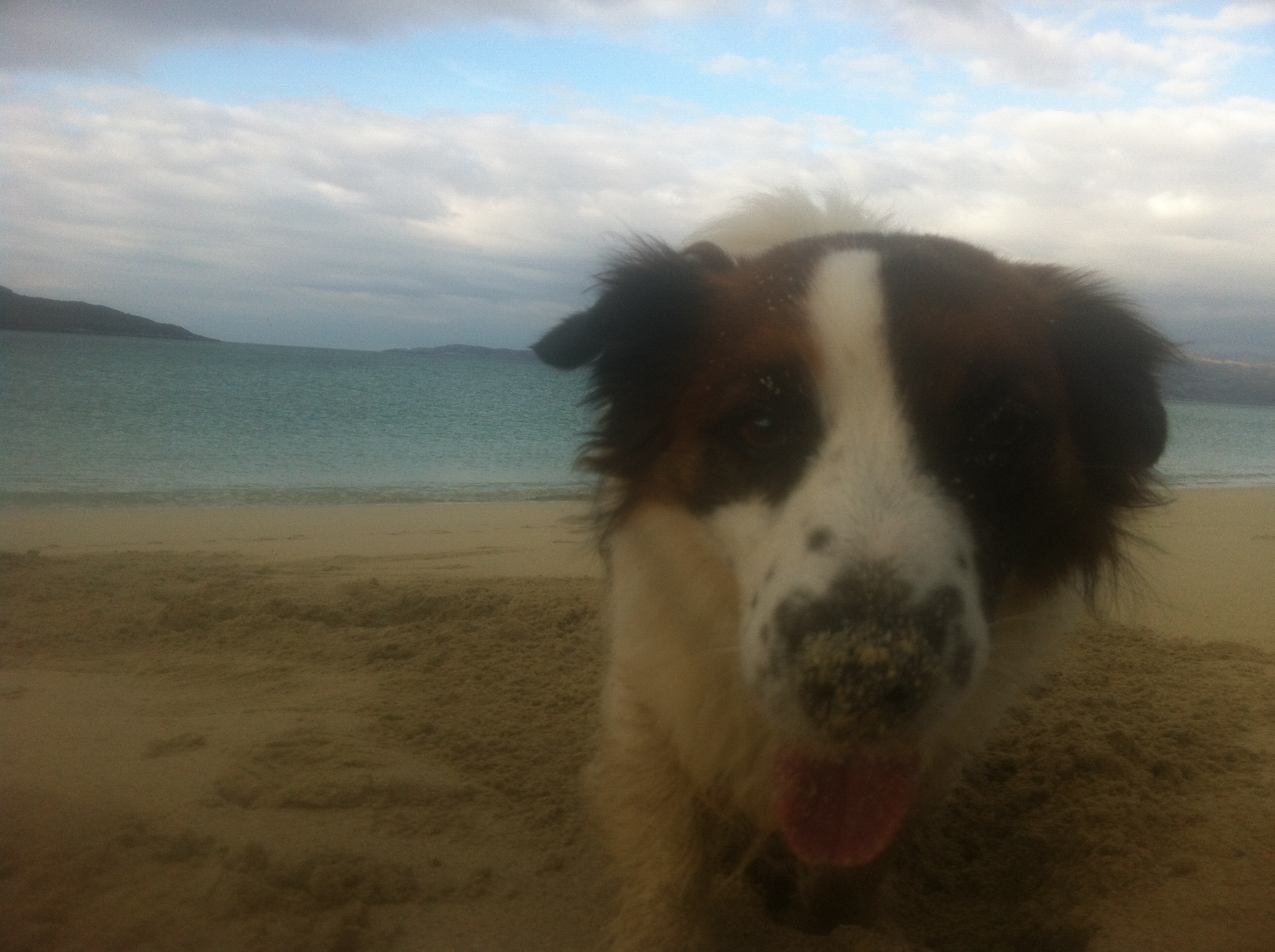 Been Digging Scrolller