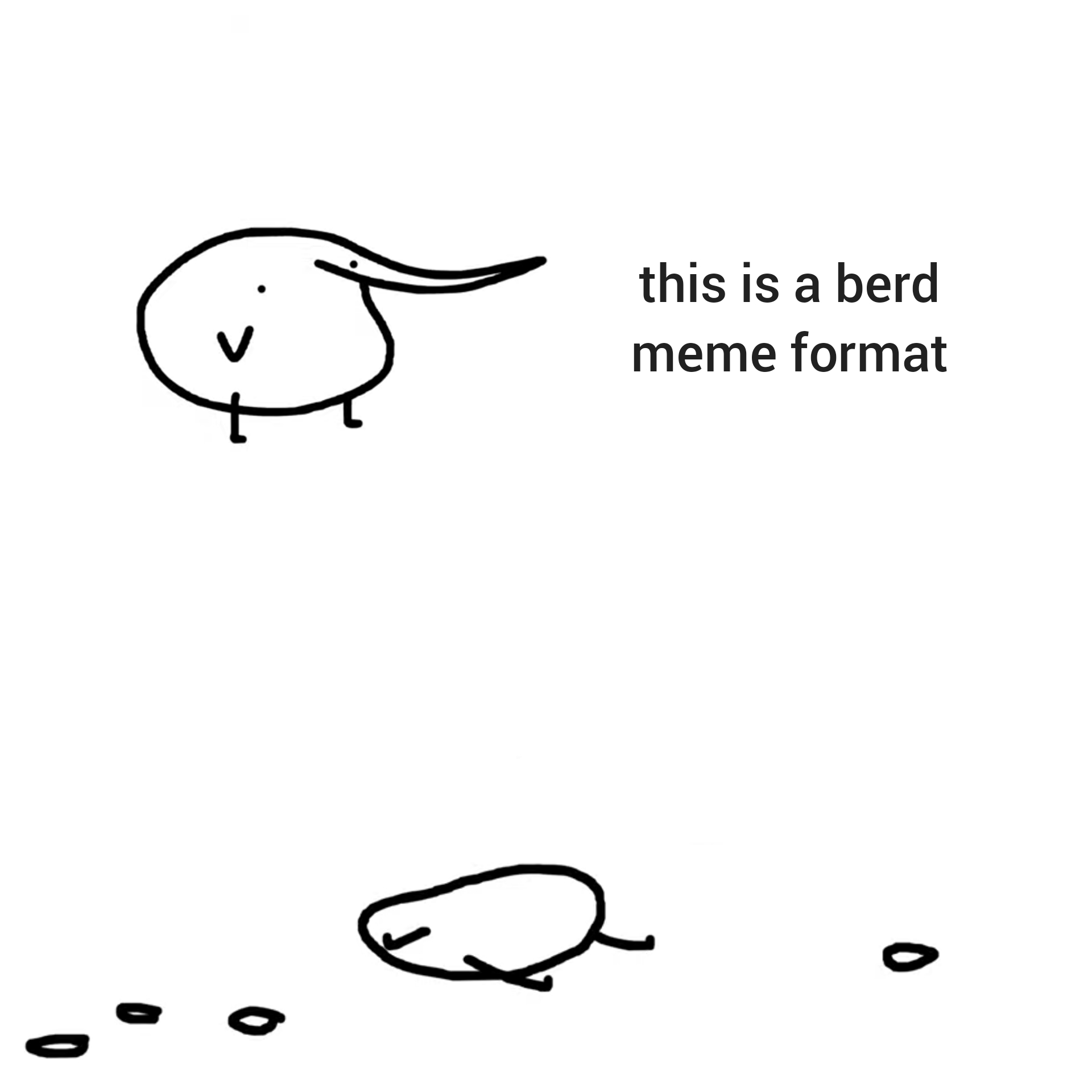 berd meme | Scrolller