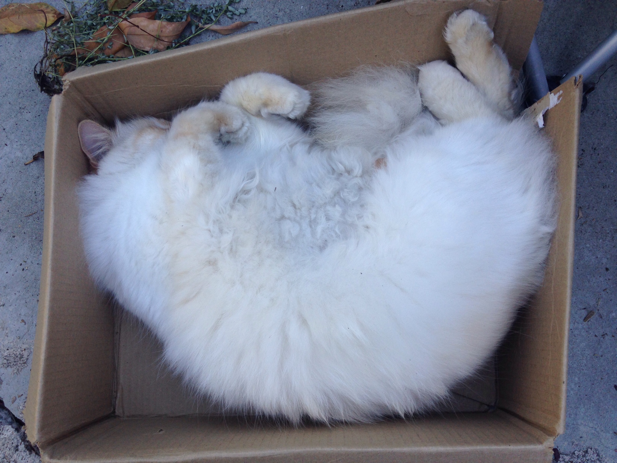 Breaking Box | Scrolller