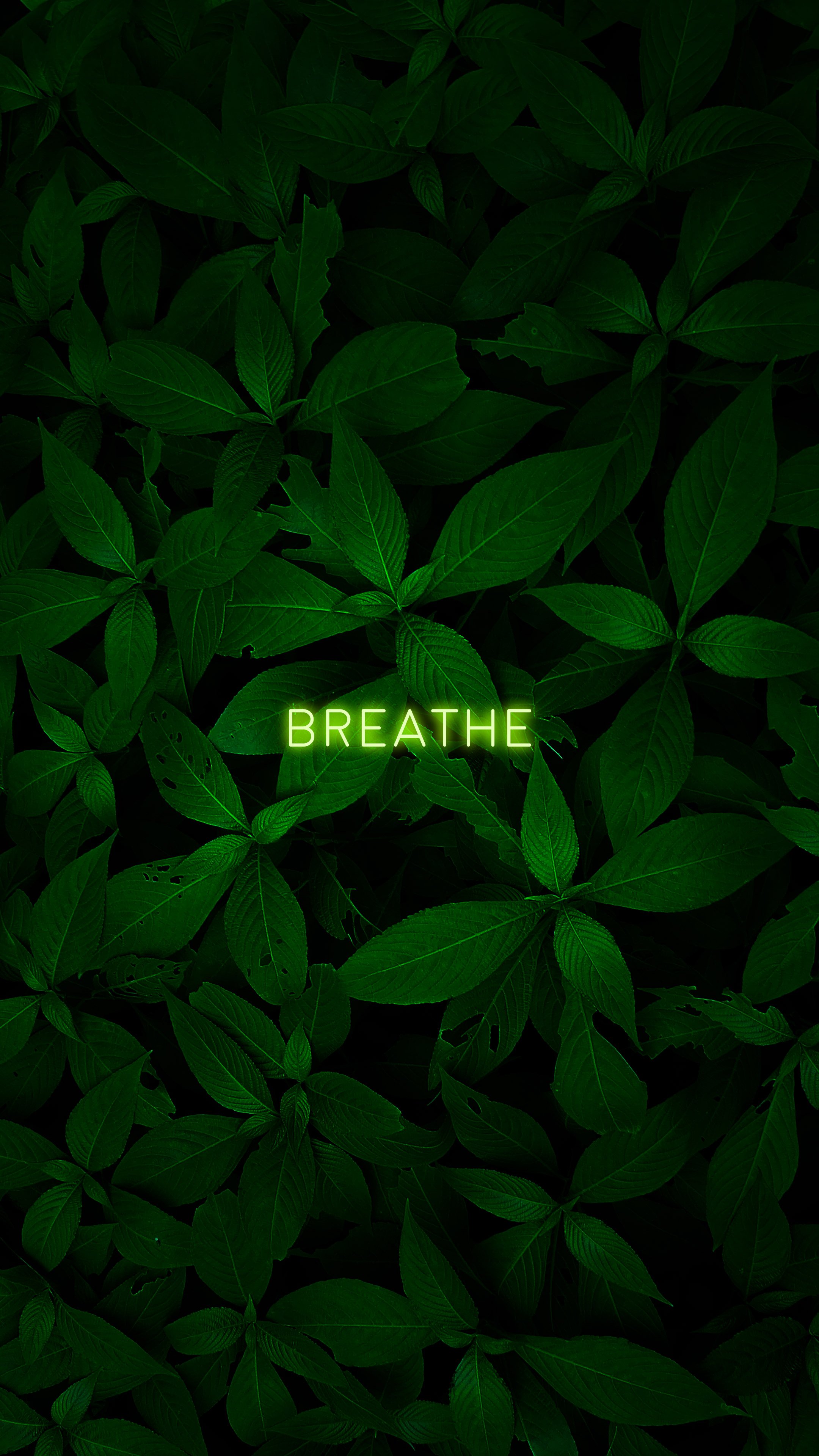 Breathe | Scrolller