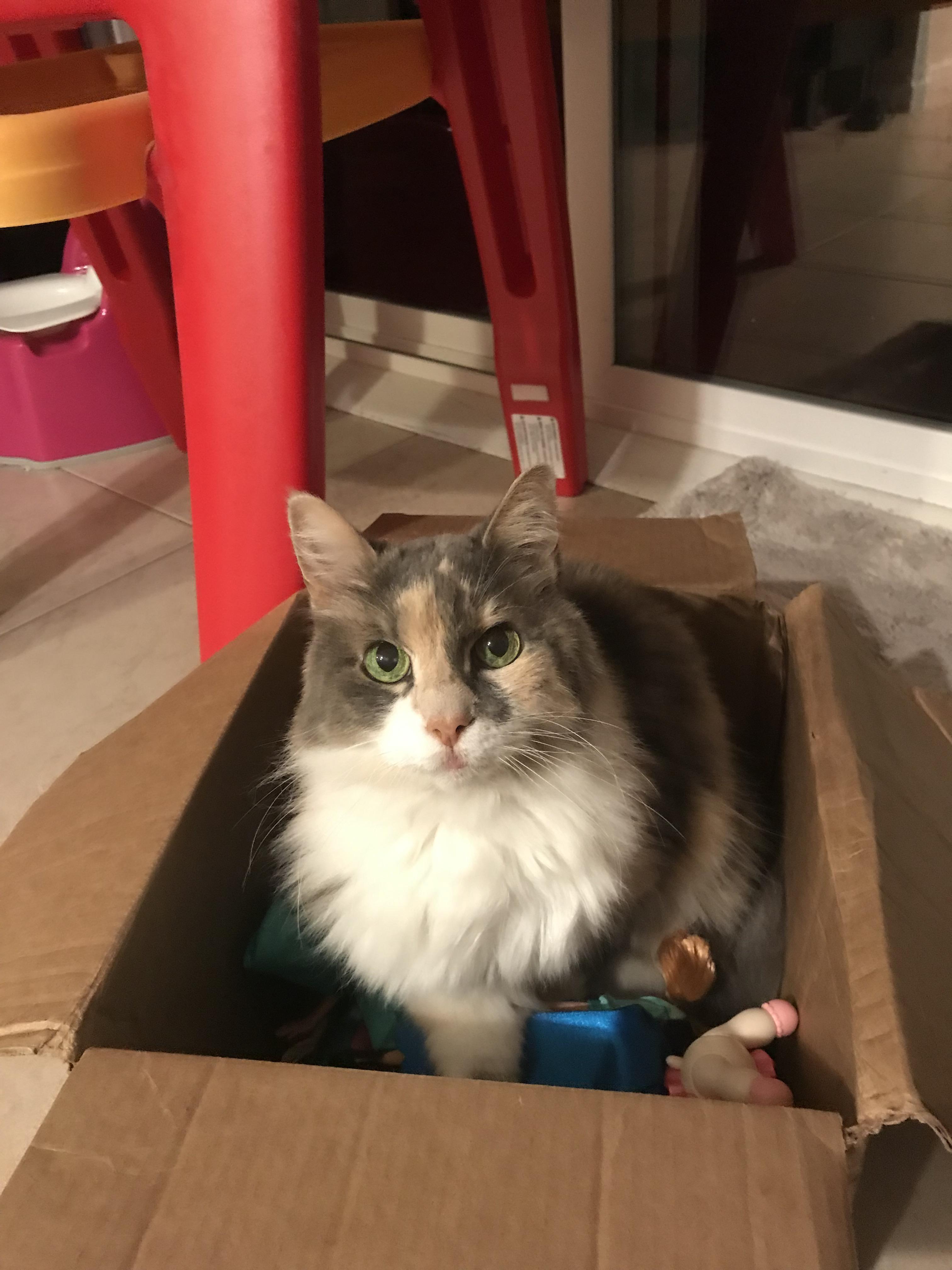 Can I help you? Scrolller