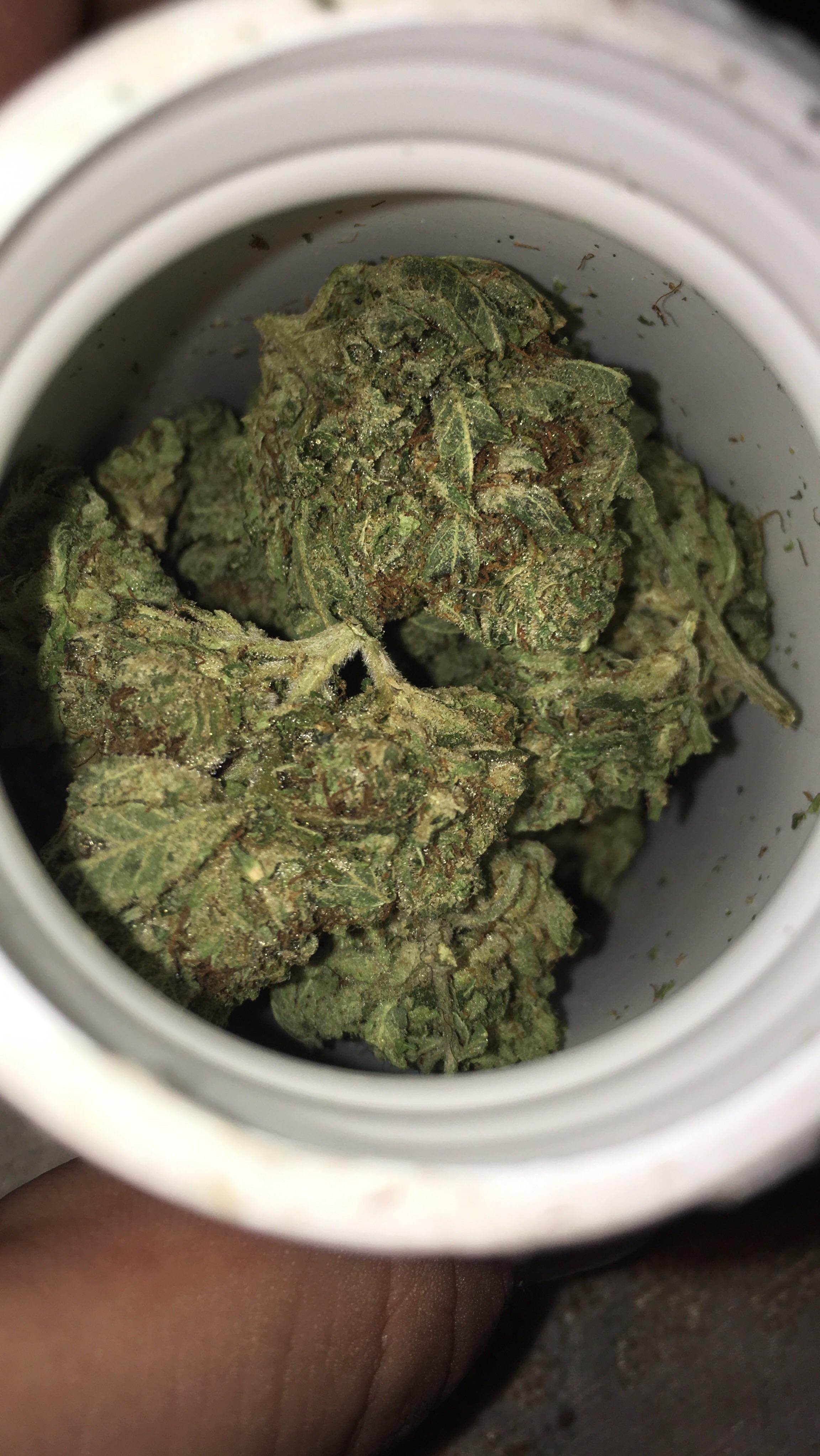 Can someone identify this strain? | Scrolller