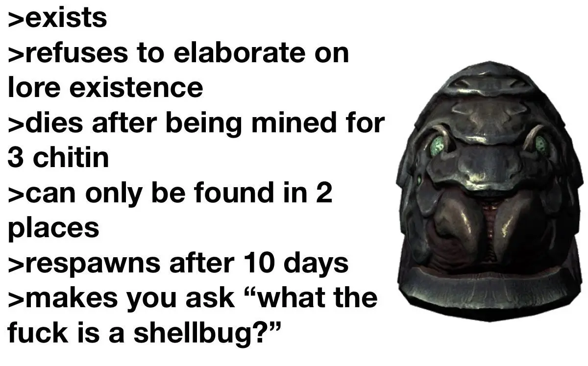 Chad shellbug | Scrolller