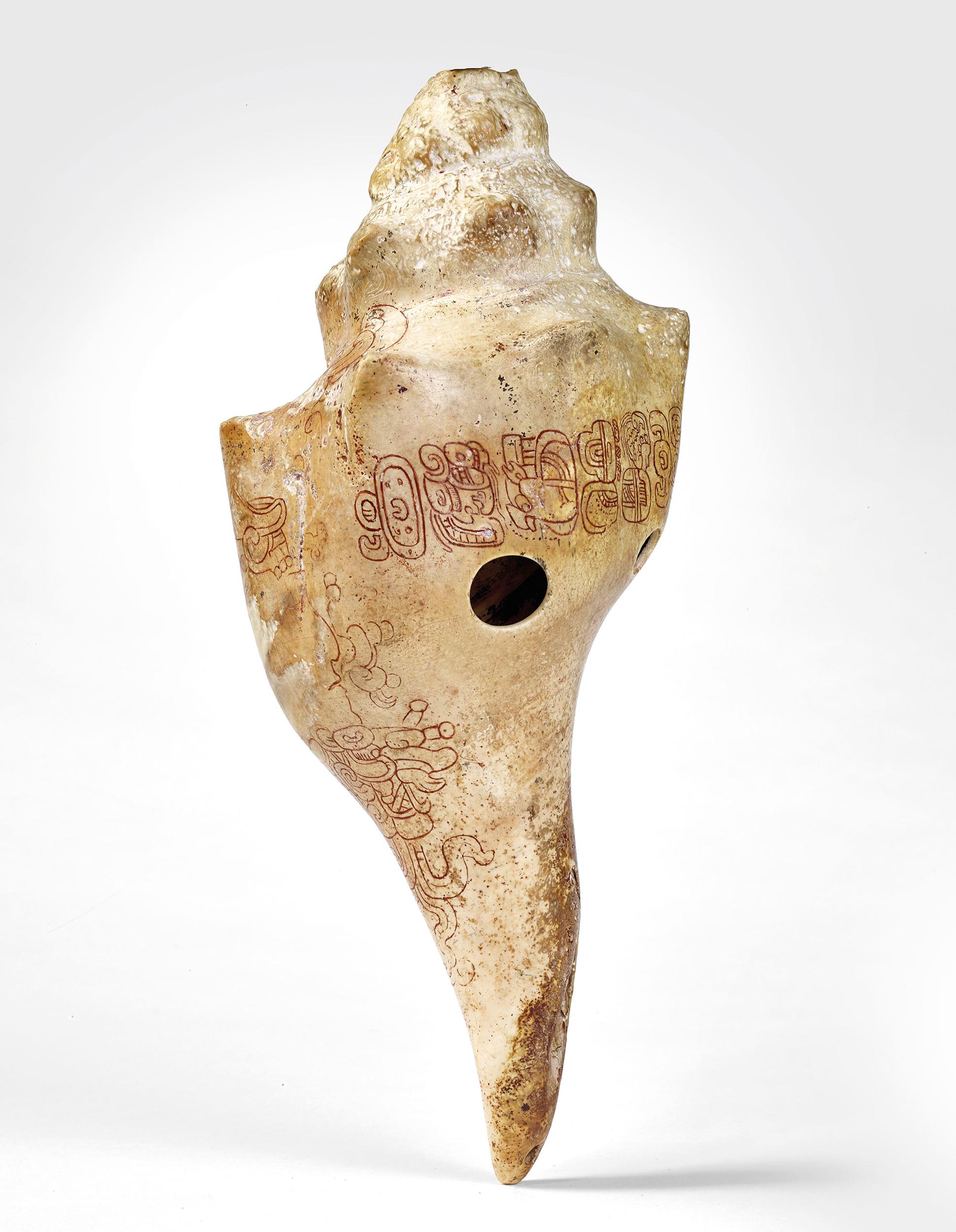 Conch with inscriptions, used as a musical instrument. Maya ...