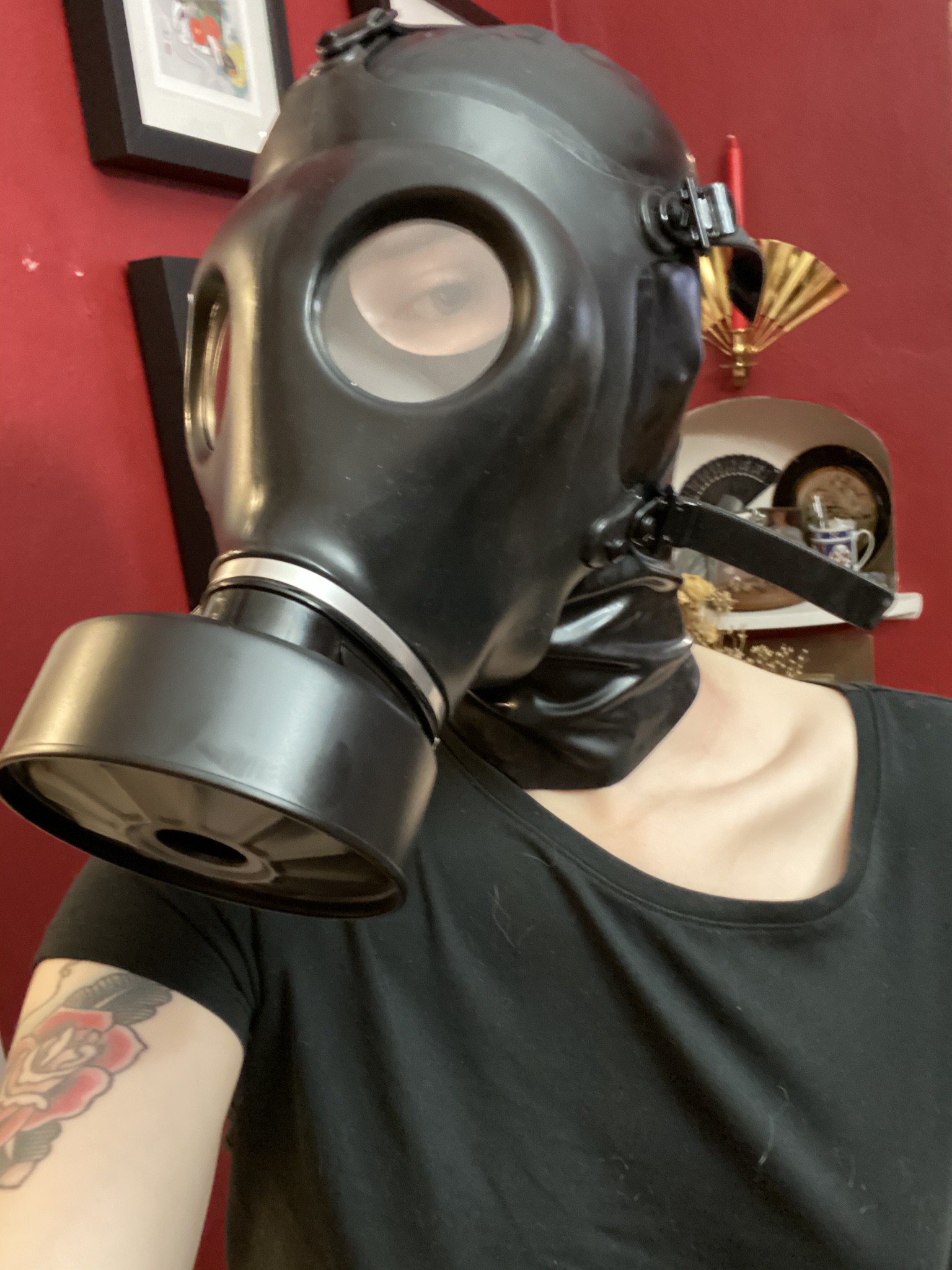 Do you like my gas mask? | Scrolller