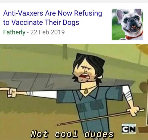 Do you want rabies? Cause that's how you get rabies! | Scrolller