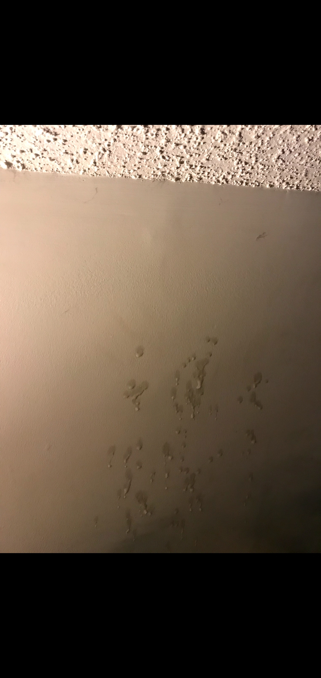 Does Walls Count For Being Cum Stained Hit My Ceiling The Other Day