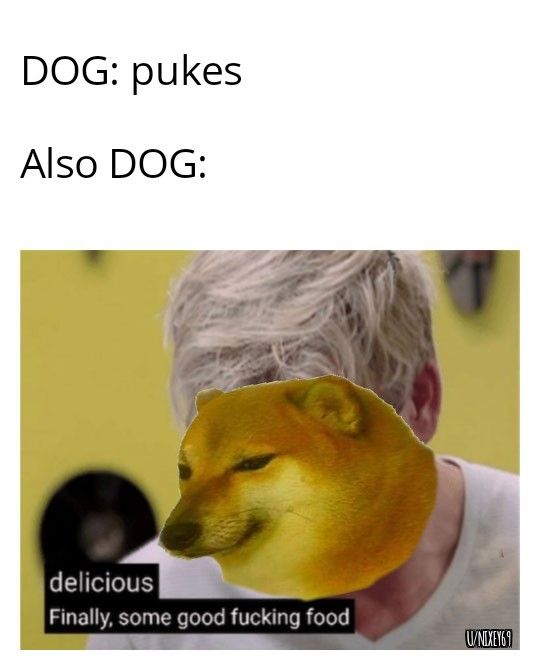 Dogo memes ded question mark | Scrolller