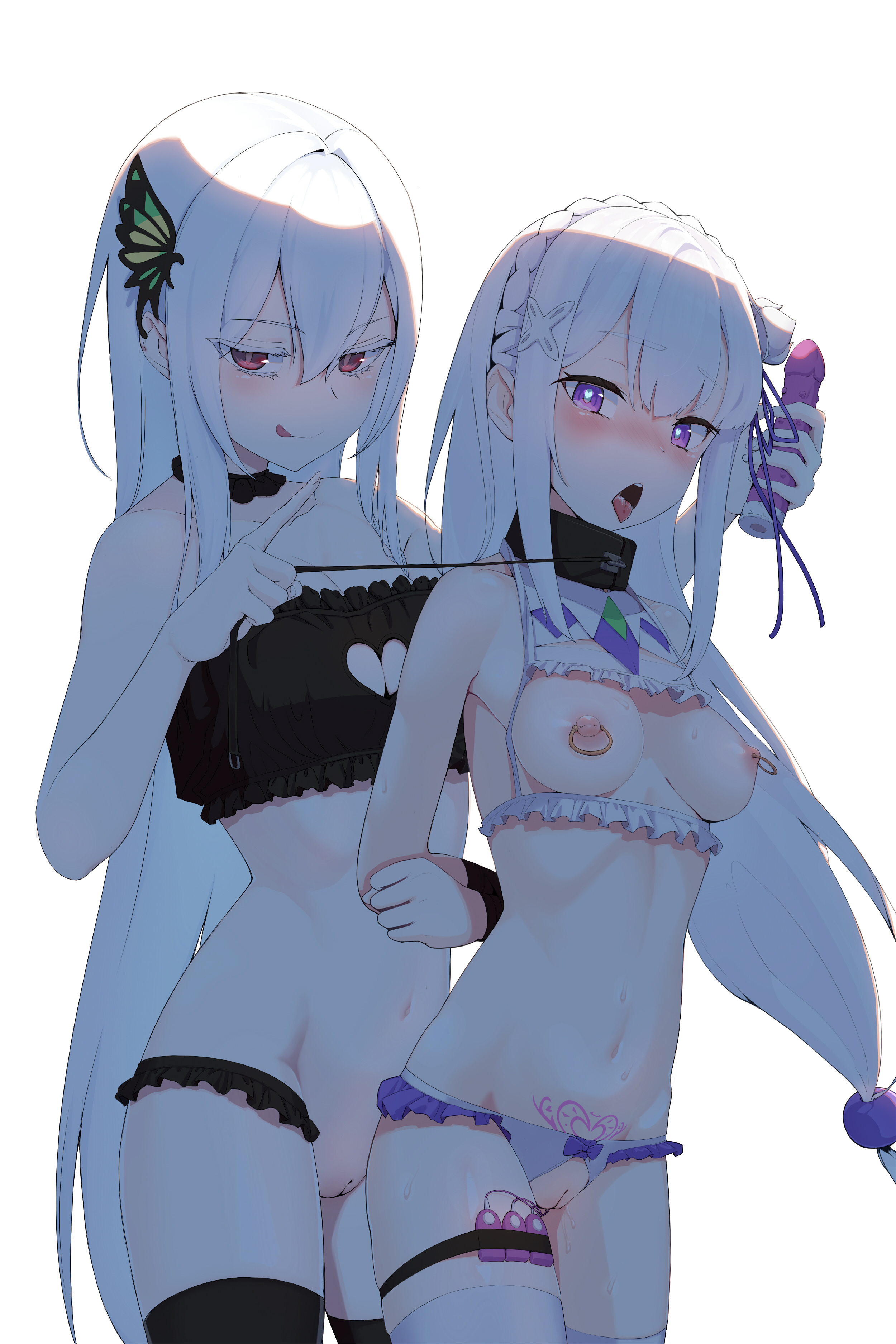 Echidna and Emilia having fun Scrolller 