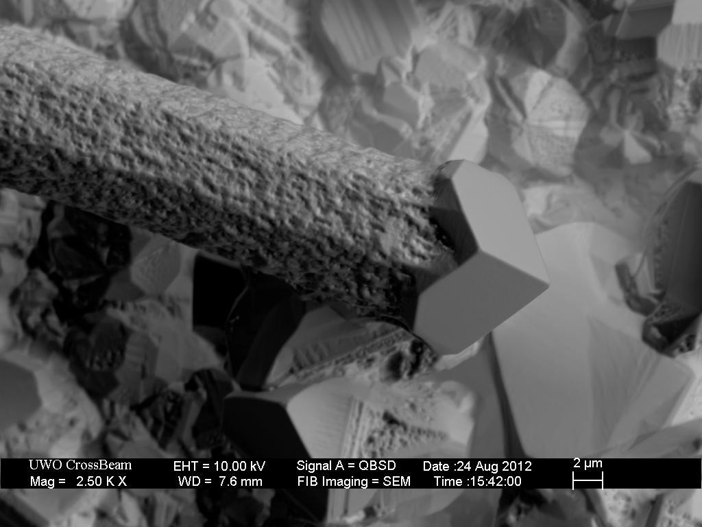 Electroplated Copper 