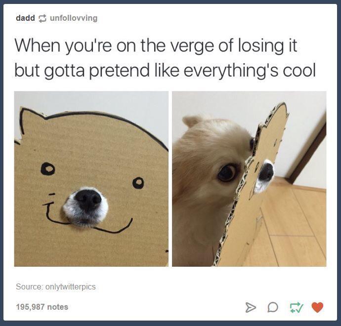 高效搜索神器Everything最全使用技巧(一篇看全)及详细功能帮助教程(更新第10次) intelligence overview