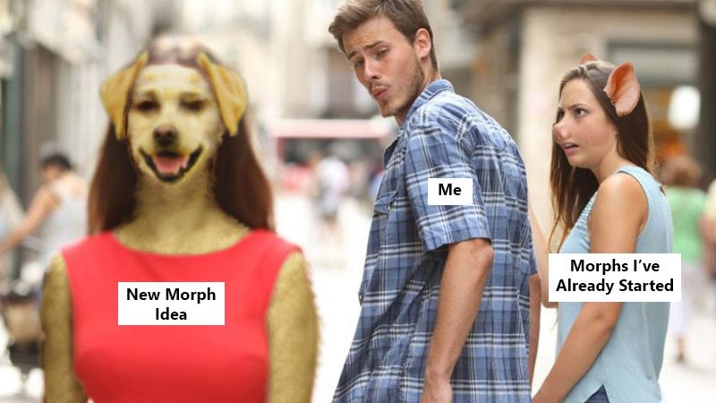 [F -> Anthro Dog, F -> Pig Girl, Photomorph, Meme, Humor] Morph Meme by ...