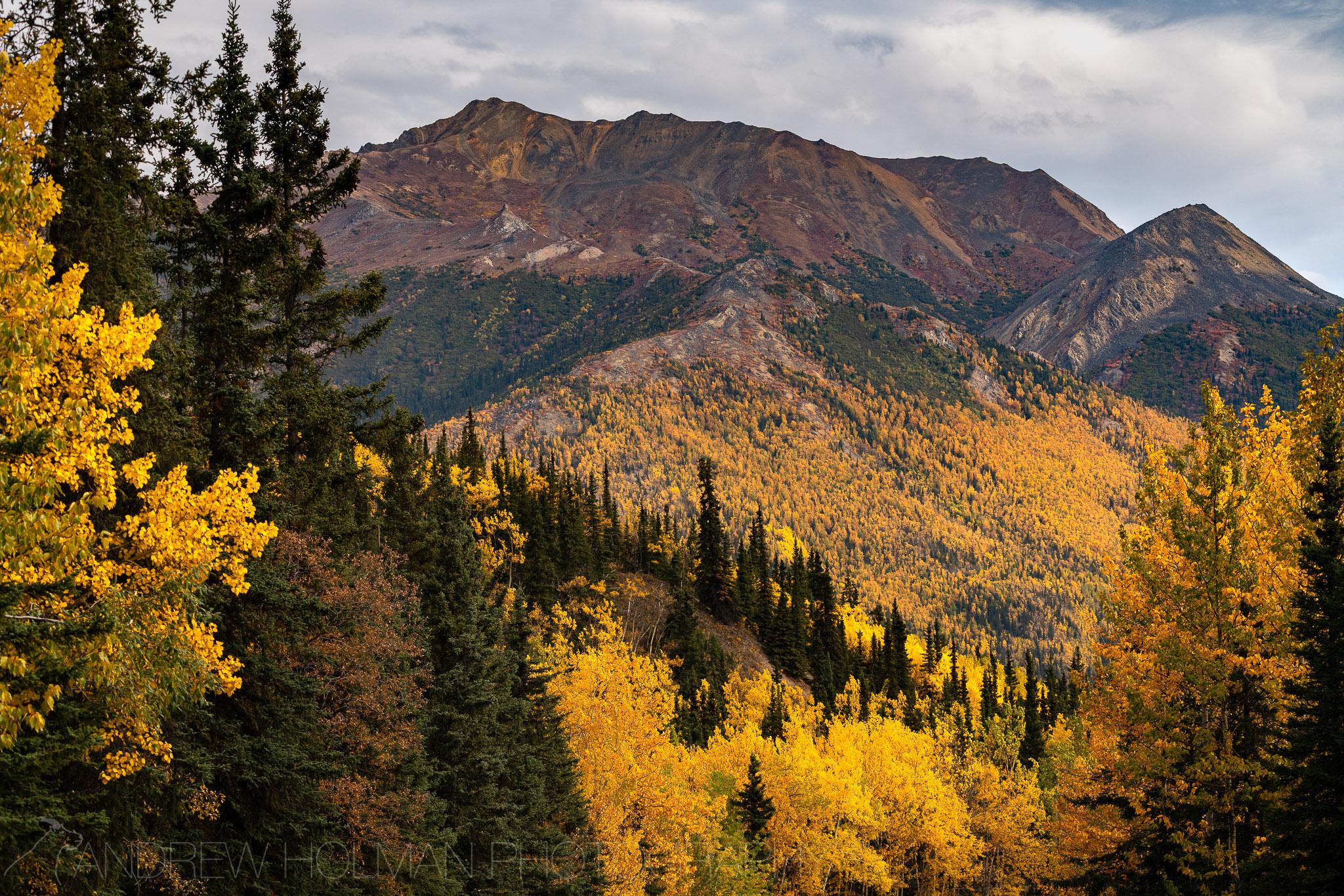 Fall in Denali NP last weekend | Scrolller