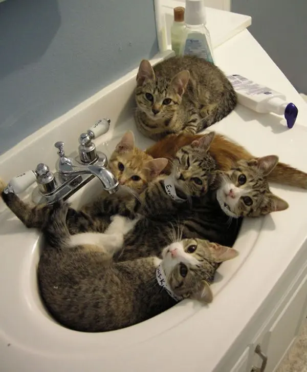 Family Gathering after a Busy Monday
