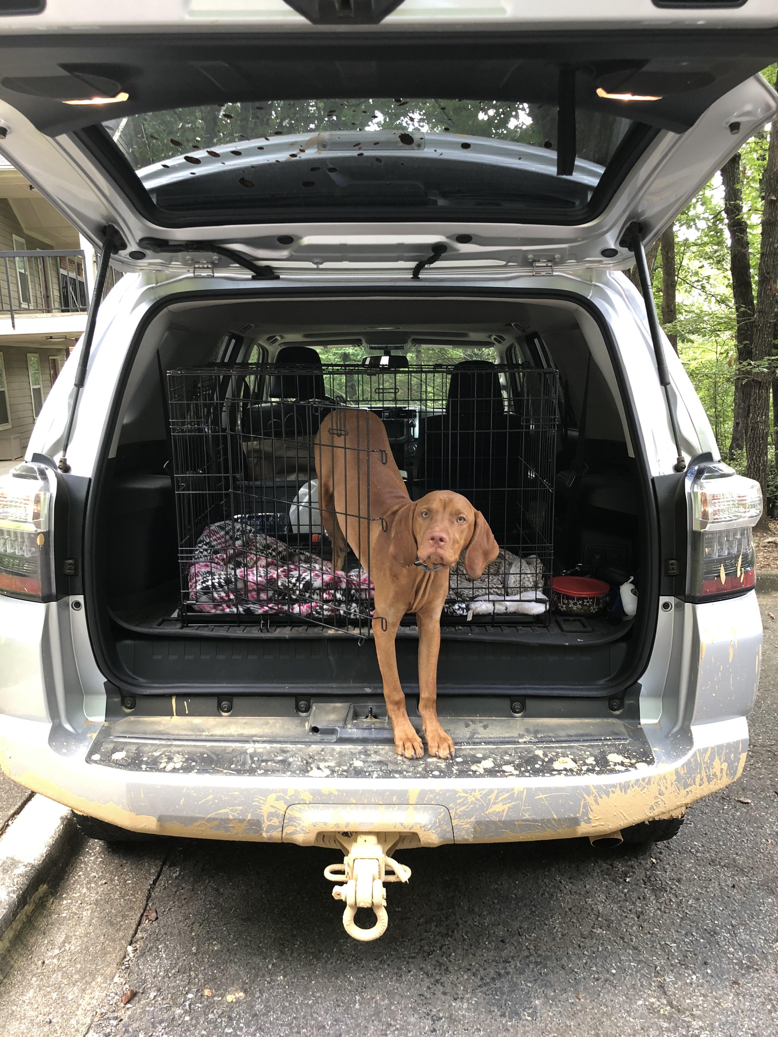 Fetch me my stepping stool, peasant | Scrolller