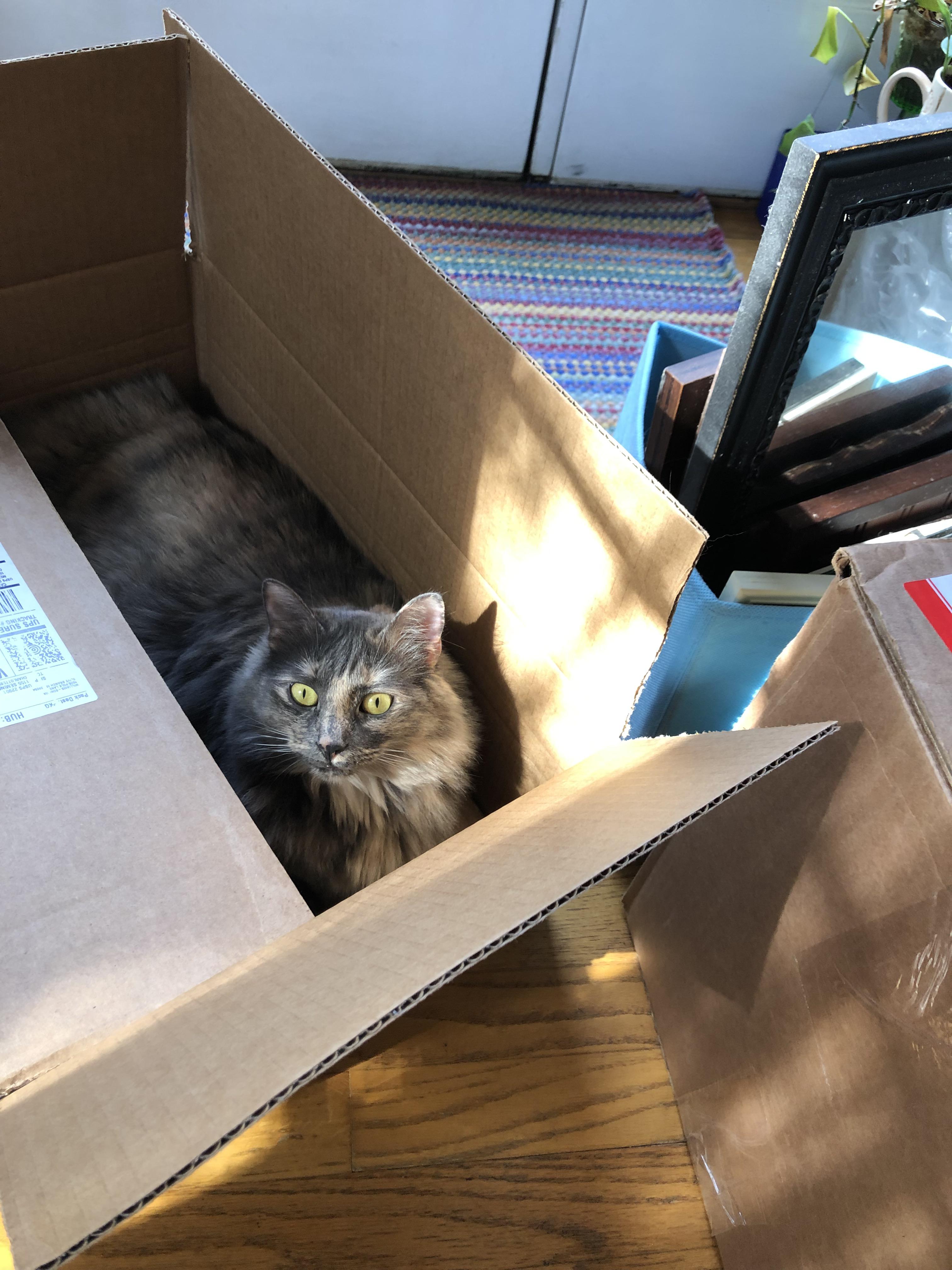 Floof contained | Scrolller