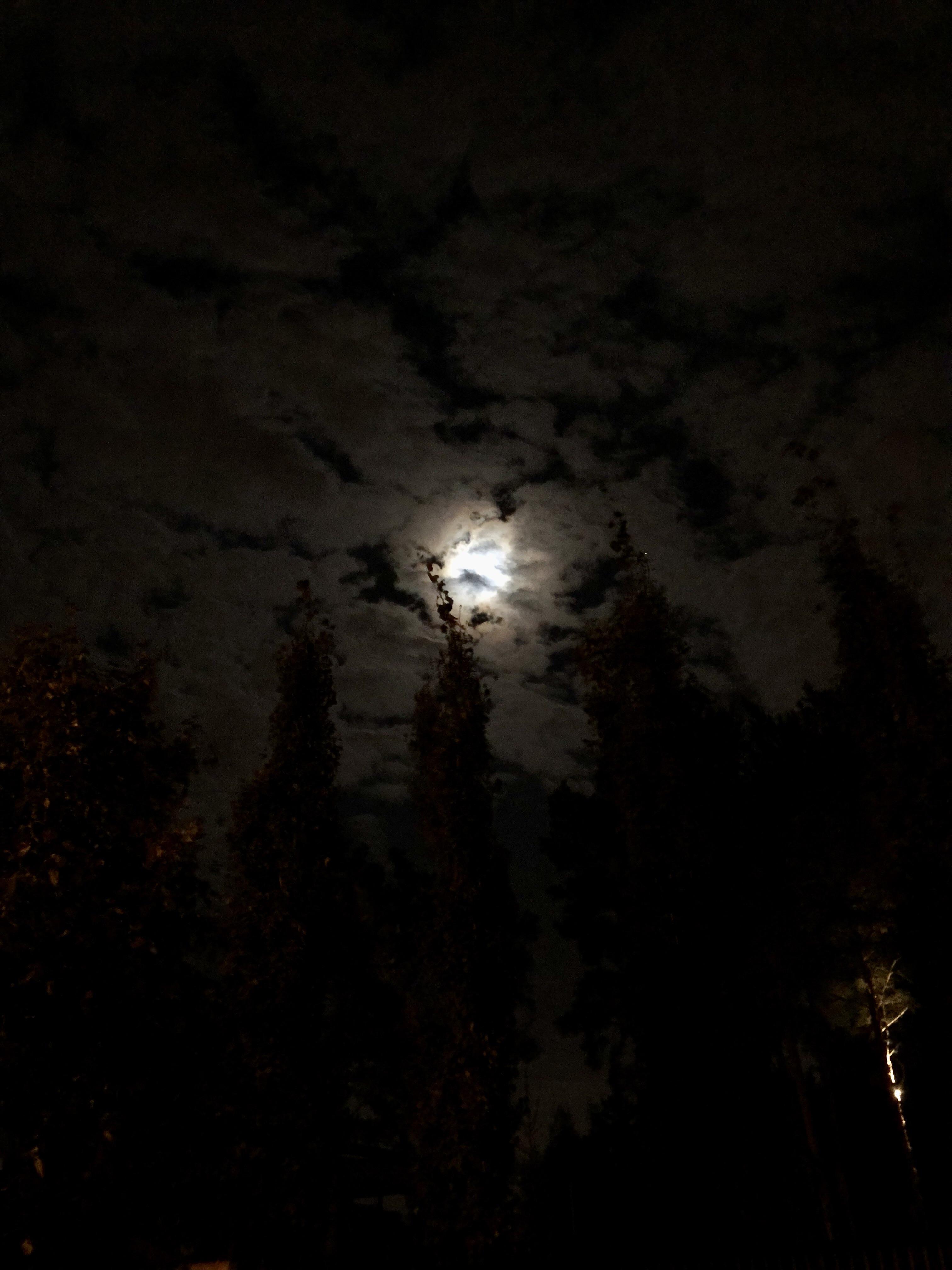 The Fragile Sky and the Hidden Cost of Middle East Escalation