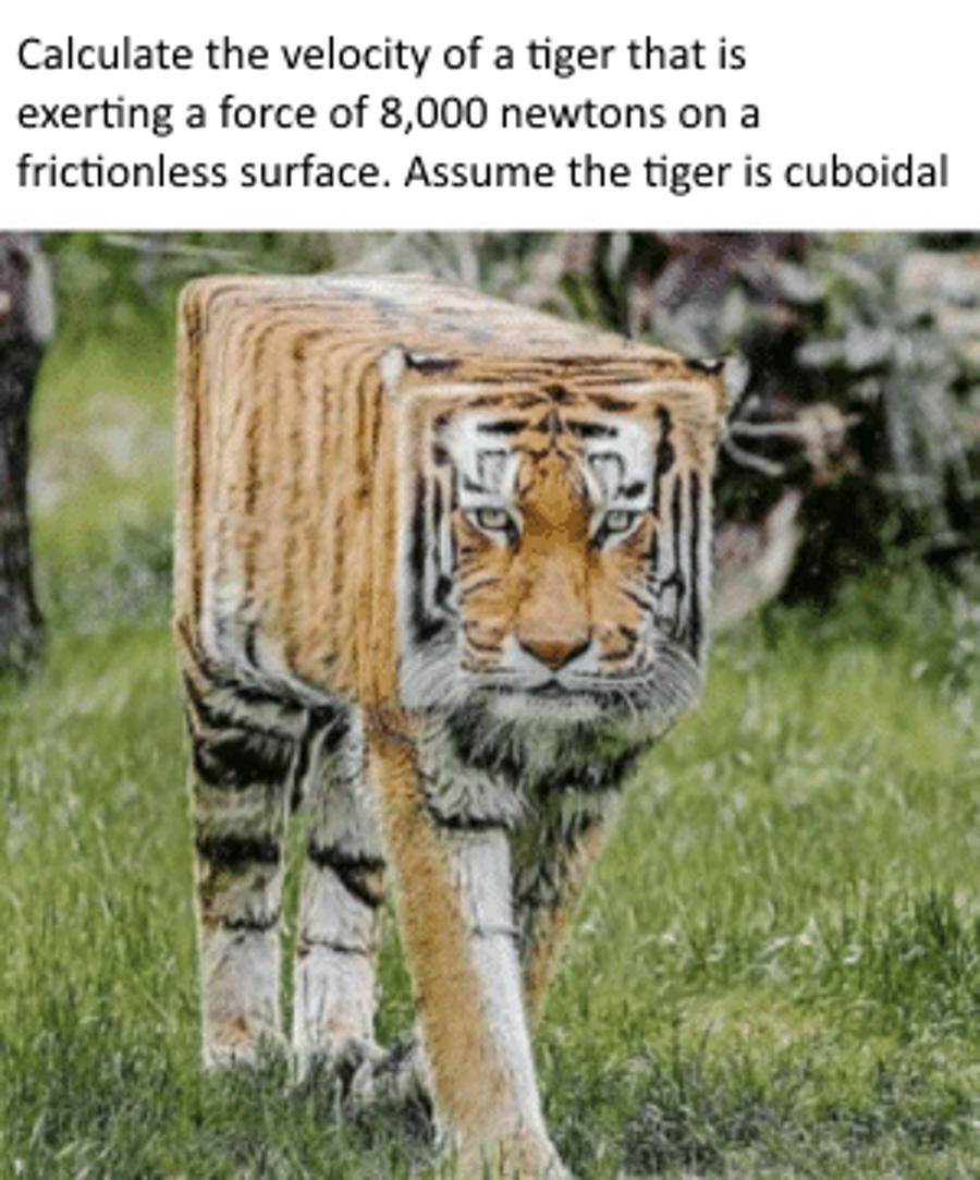 Can you calculate the velocity?