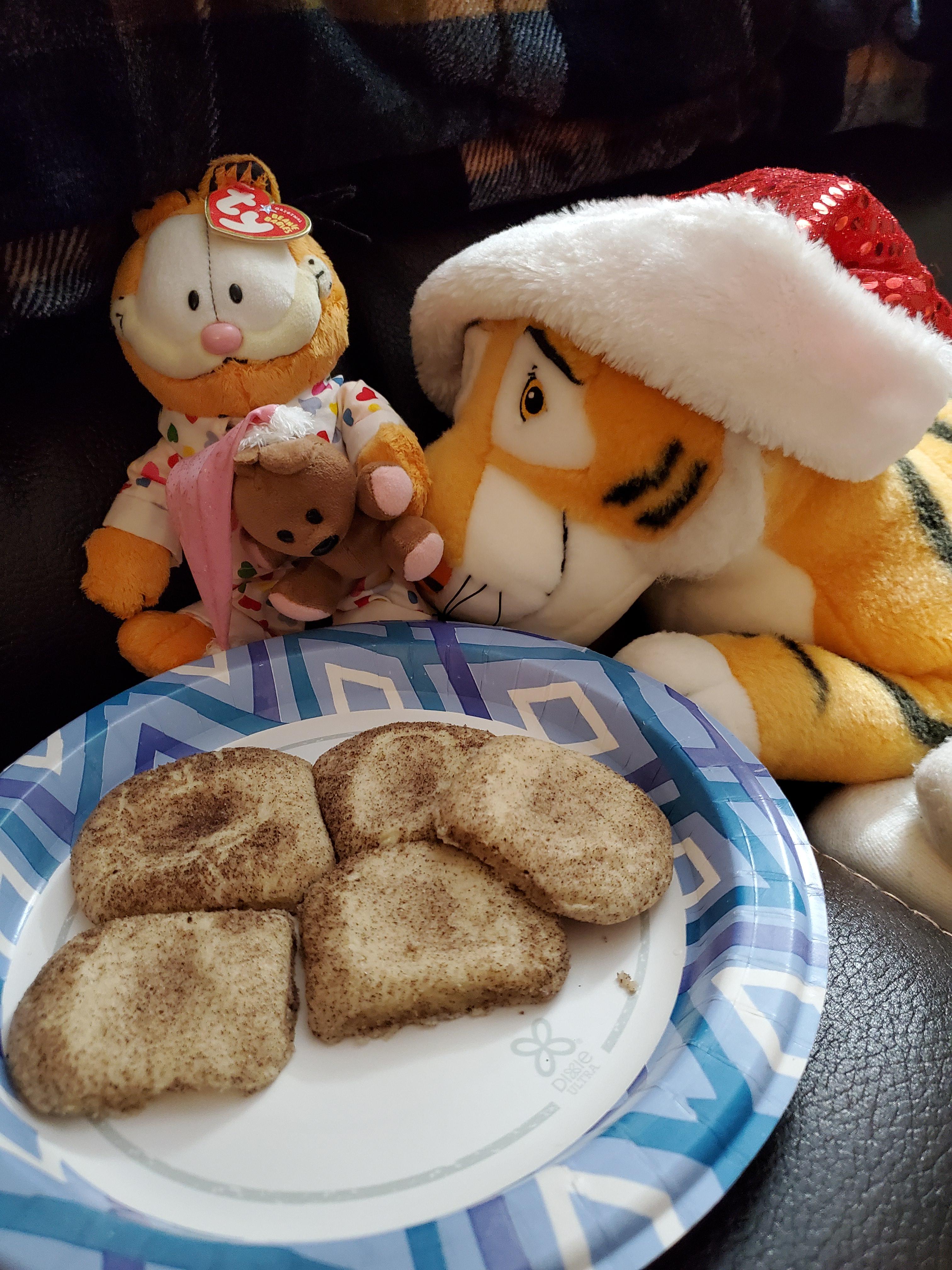 Garfield and Raja love homemade snickerdoodle cookies! Scrolller