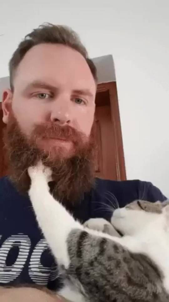 Get A Cat They Said Scrolller 12-scientific-ways-to-get-a-cat-to-like-you-does-your-cat-loving-you