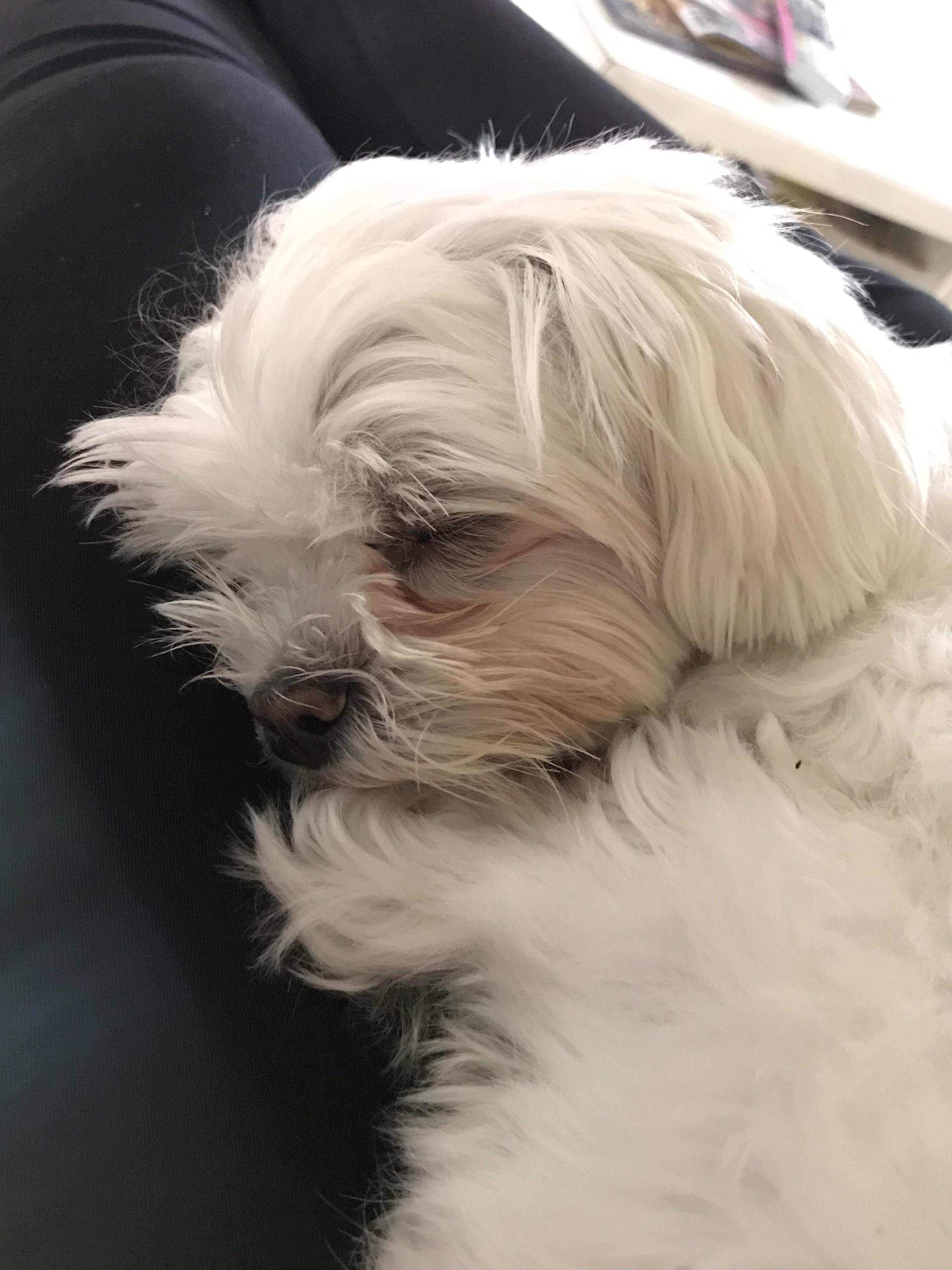 Good Afternoon Nap Scrolller