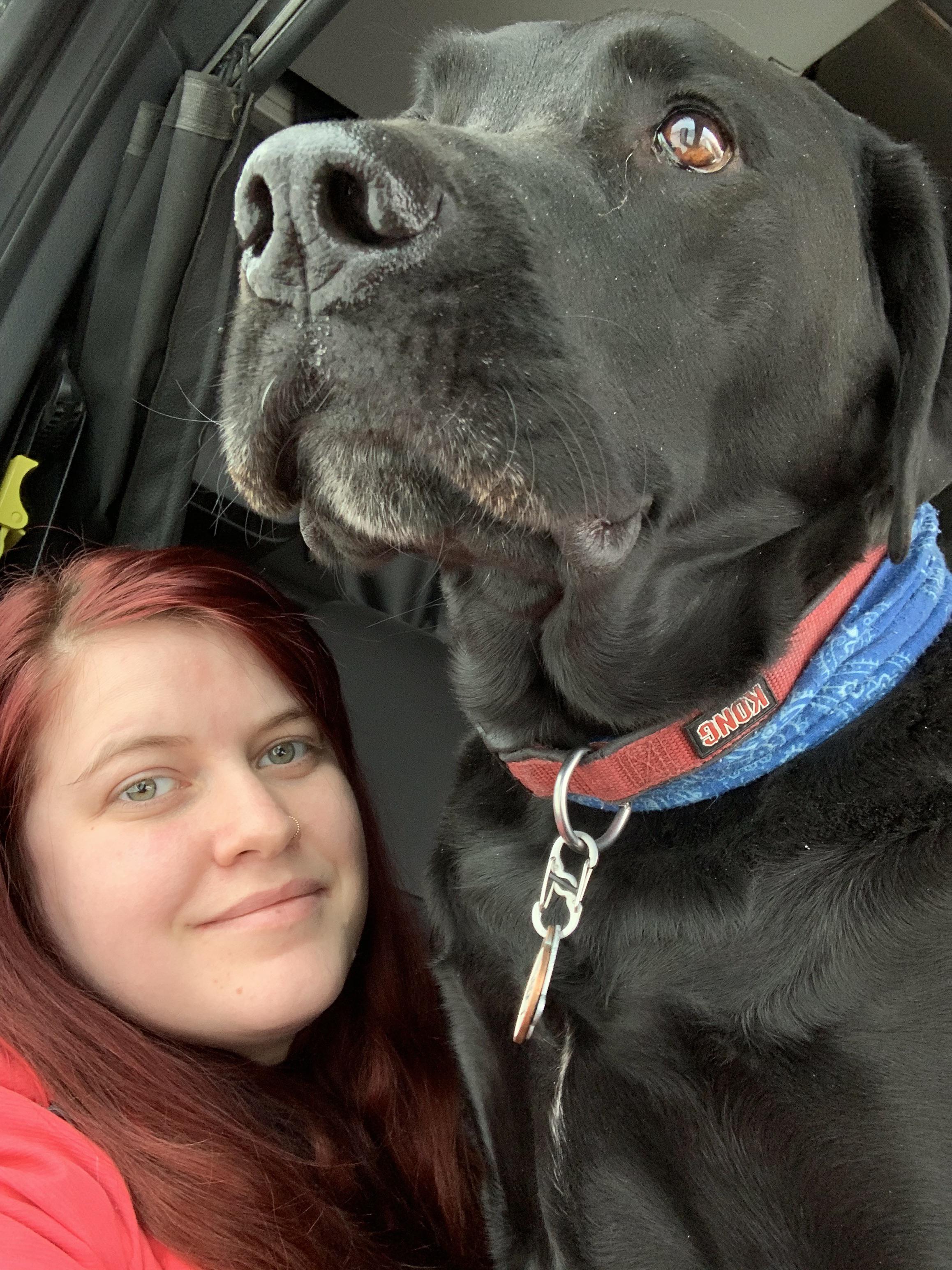 Good morning all 😊💋 like my 95 lb lap dog 🐾🦴🥰 isn’t he gorgeous 💋😊🥰27 ...