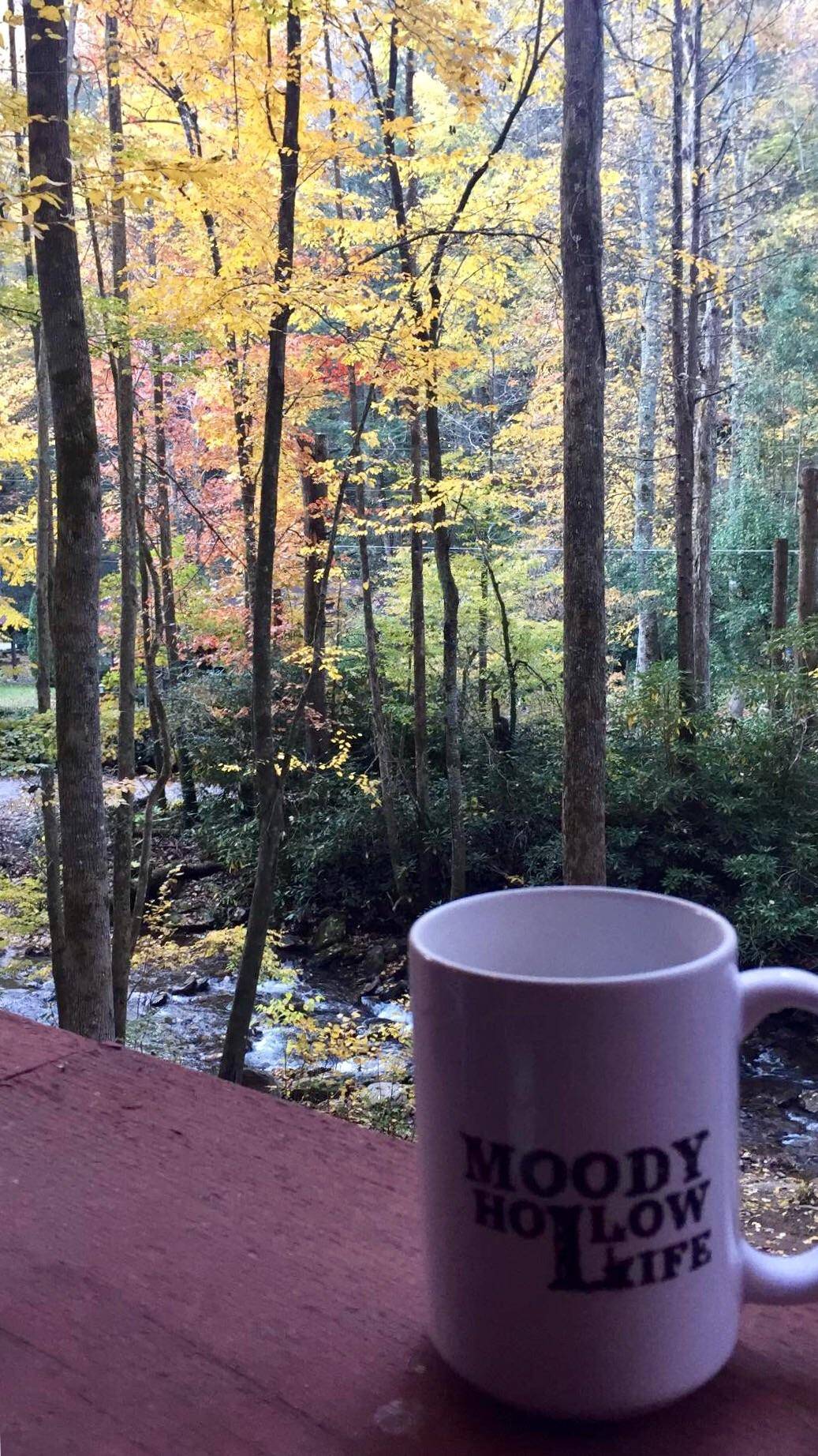 Good morning from Moody Hollow in North Scrolller