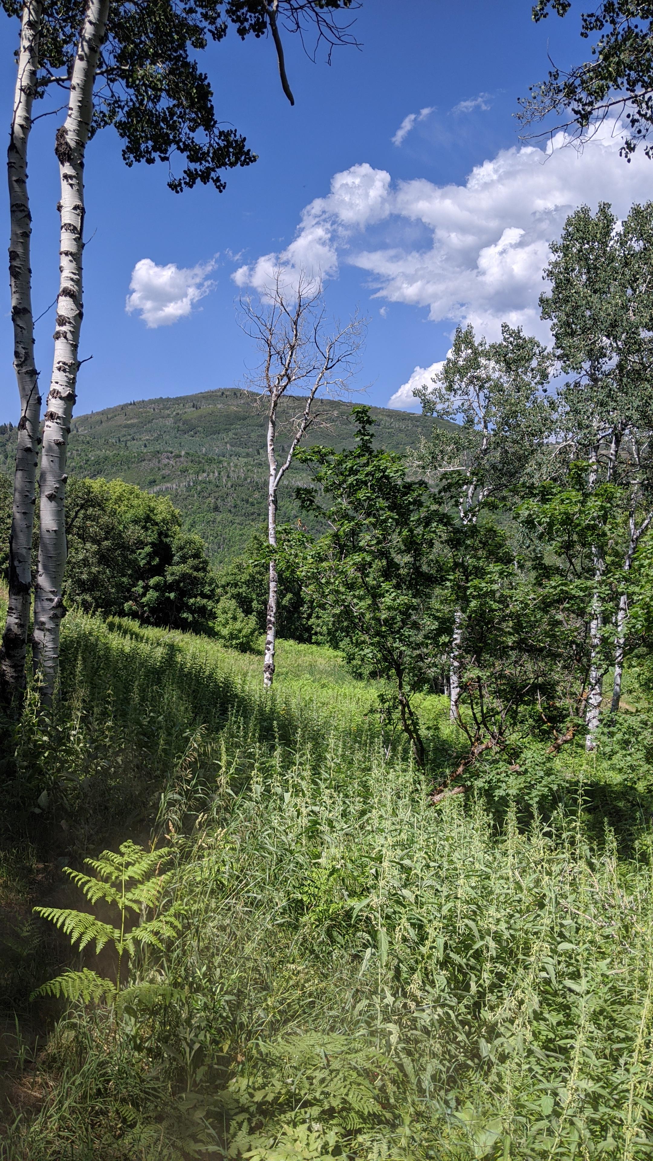 Gorgeous horse back riding trail in Utah. | Scrolller