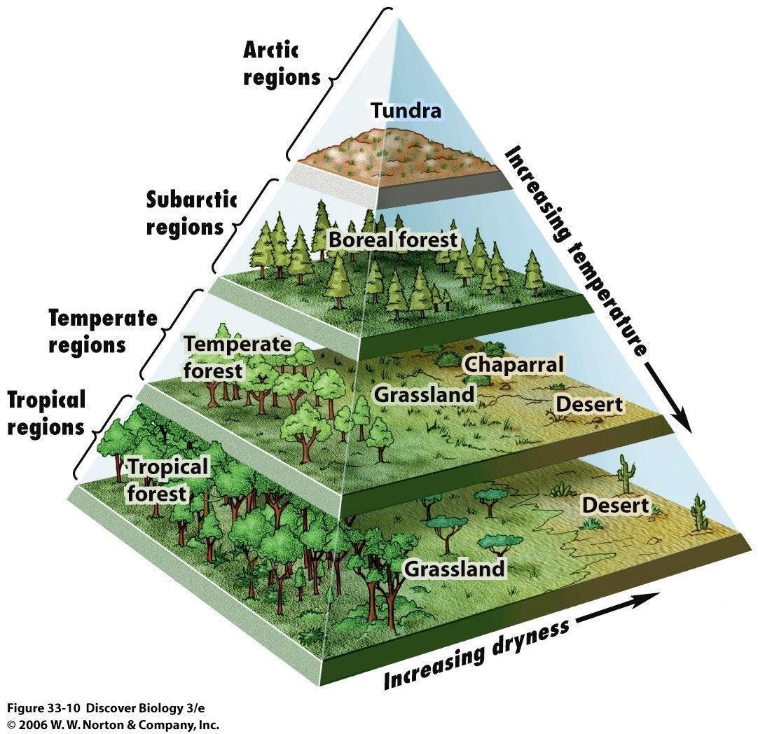 guide-to-biomes-scrolller