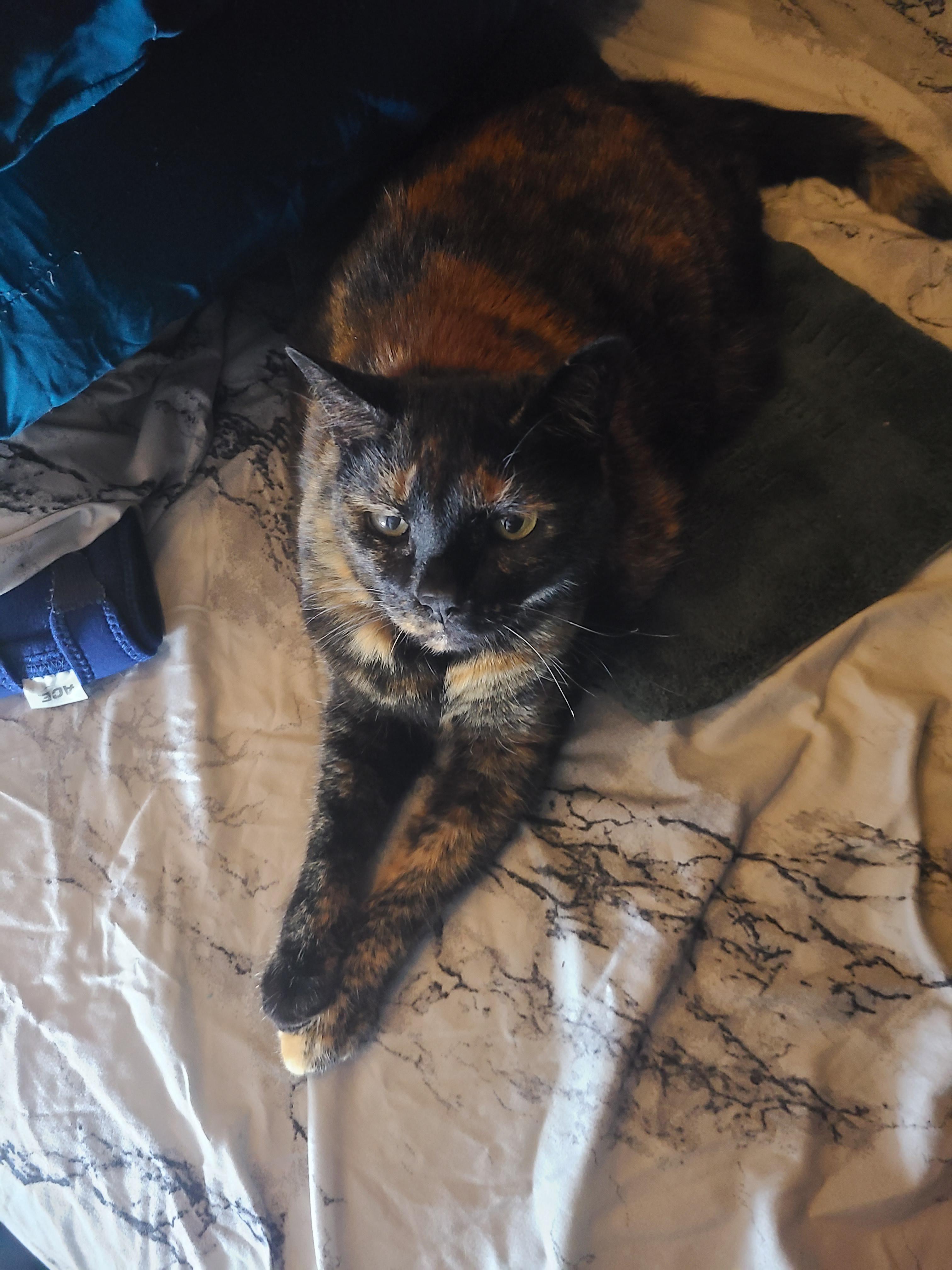 happy-adoption-day-to-this-15-year-old-baby-15-years-ago-she-chose-me
