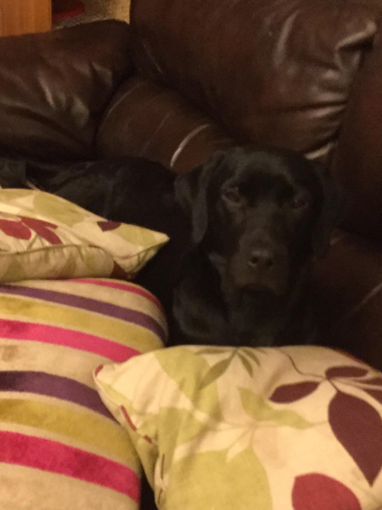 He Stayed There For Ages Scrolller