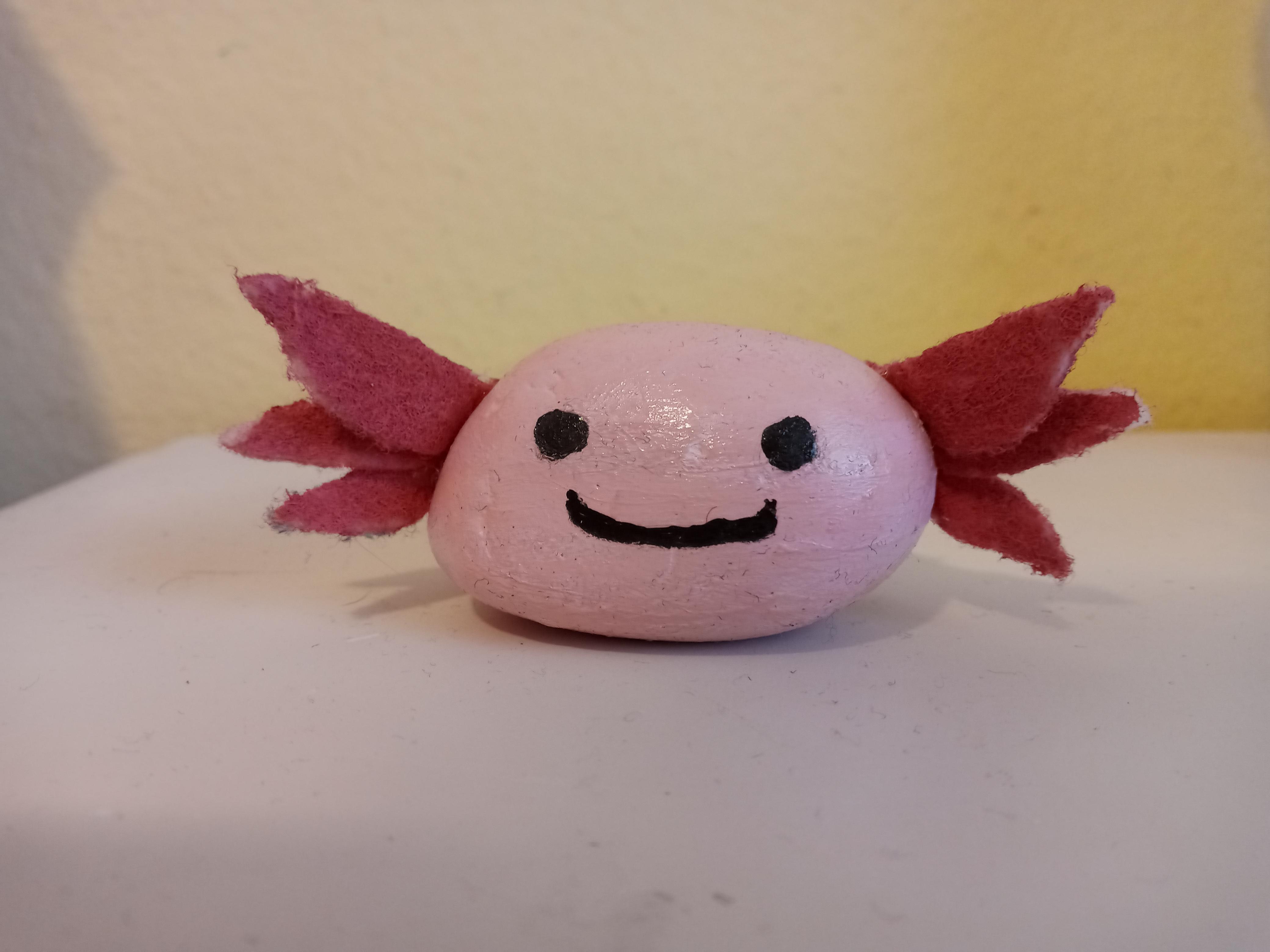 here-is-my-pet-rock-axolotl-he-doesn-t-have-a-name-yet-feel-free-to