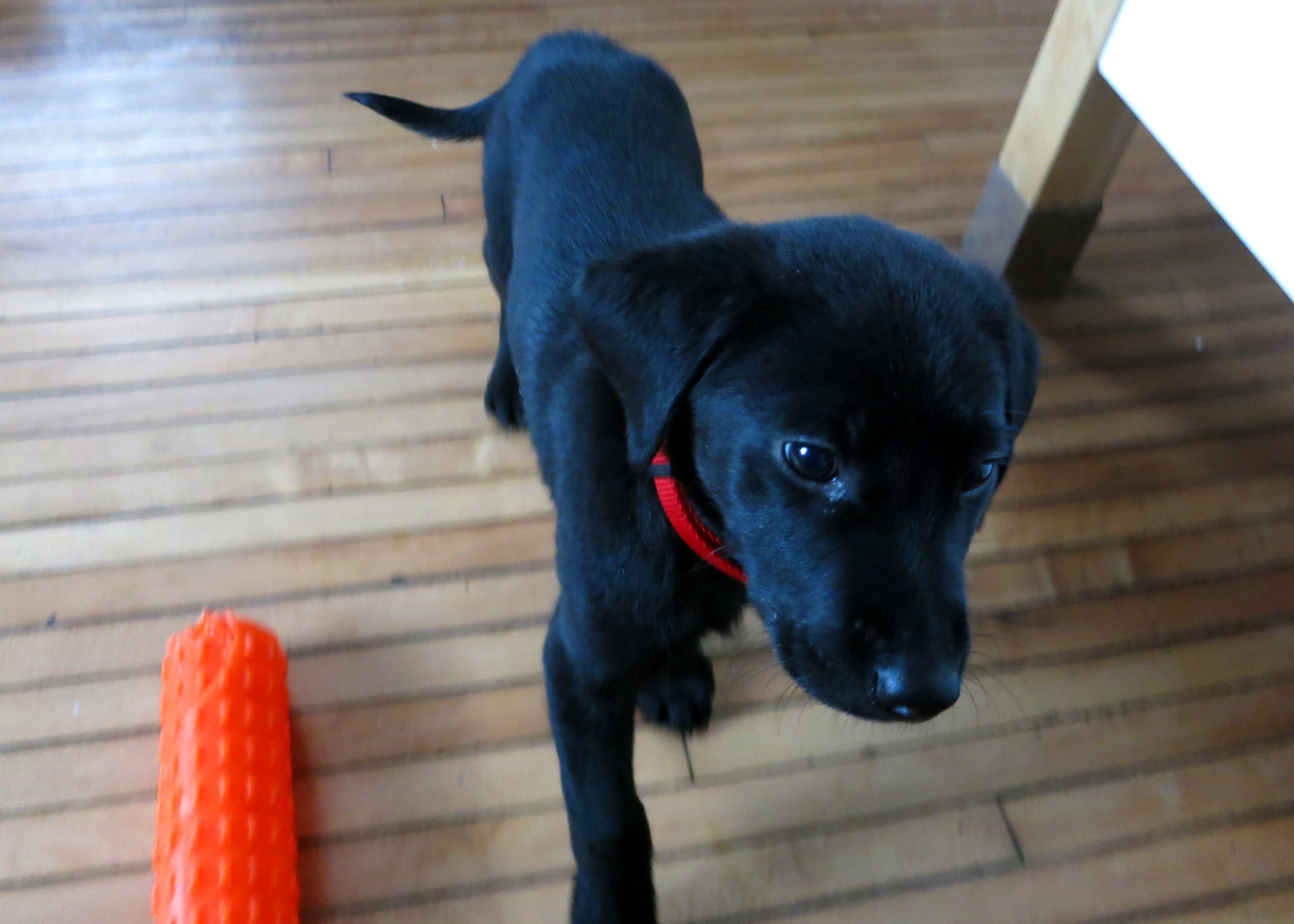 He S Up To Something Scrolller