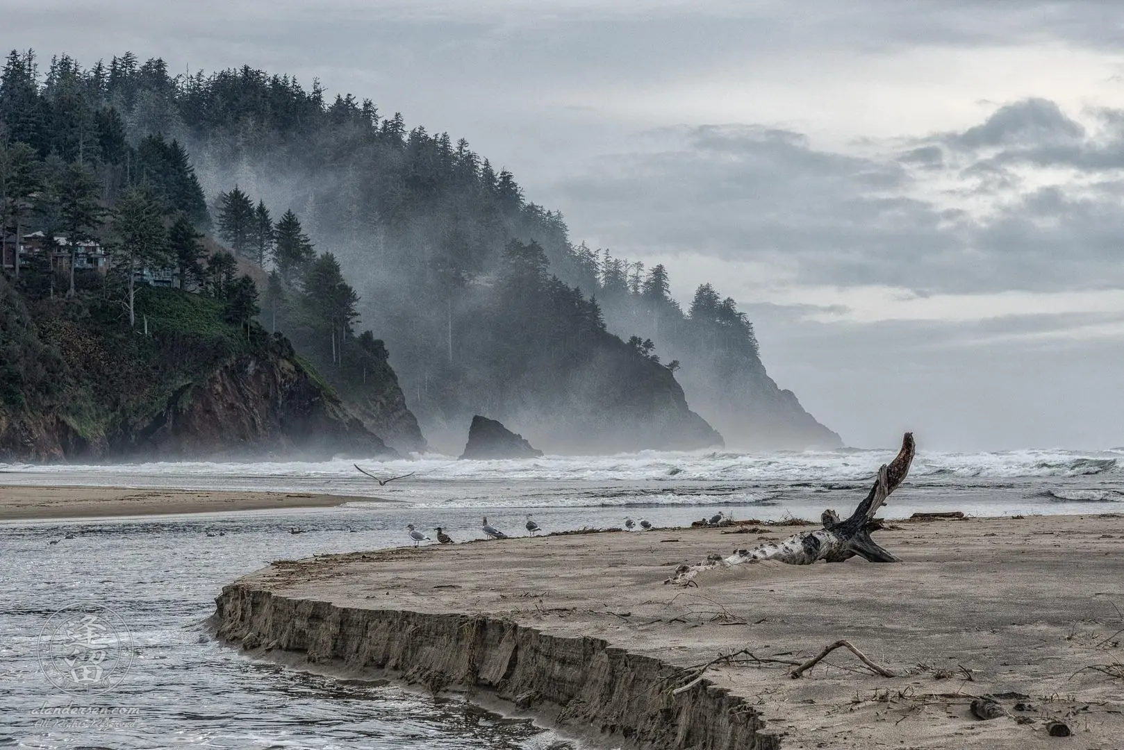 Hills And Mist At Proposal Rock, Neskowin, Oregon [2048x1367] [OC ...