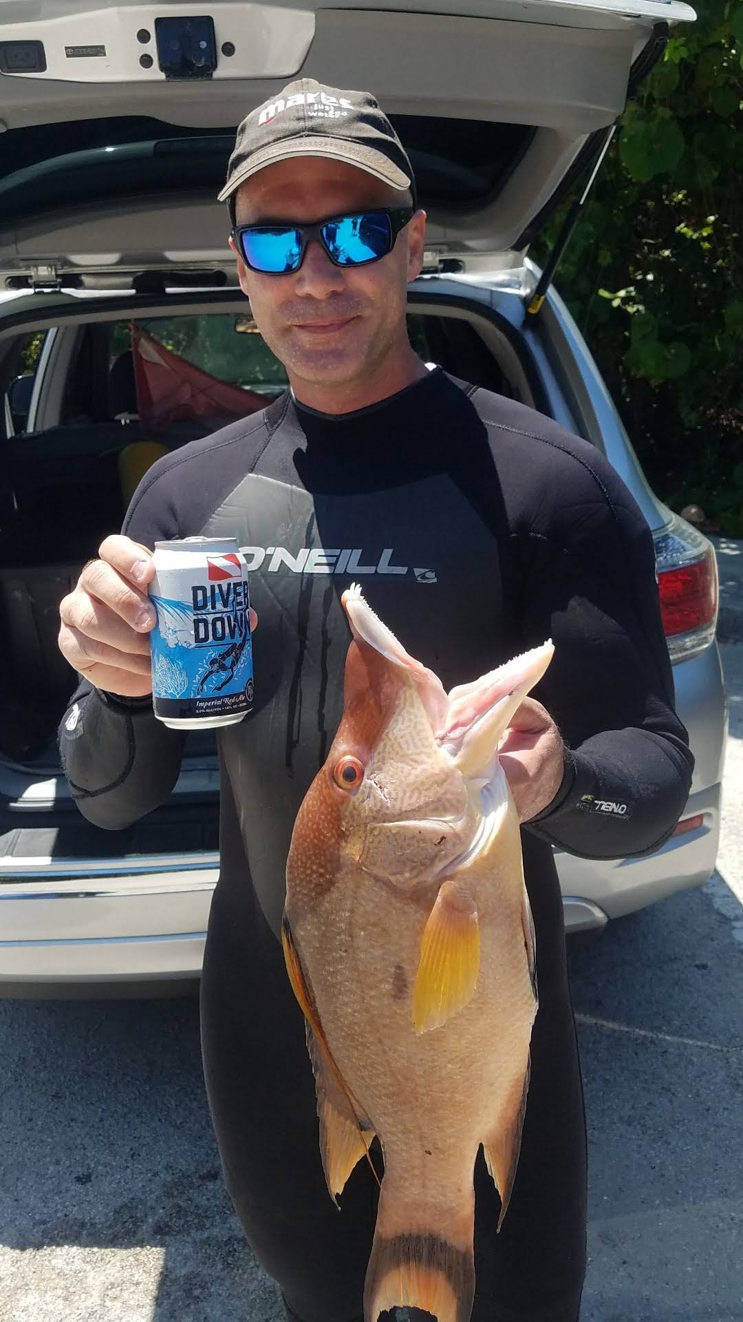 Hogfish. My favorite fish to eat. Scrolller
