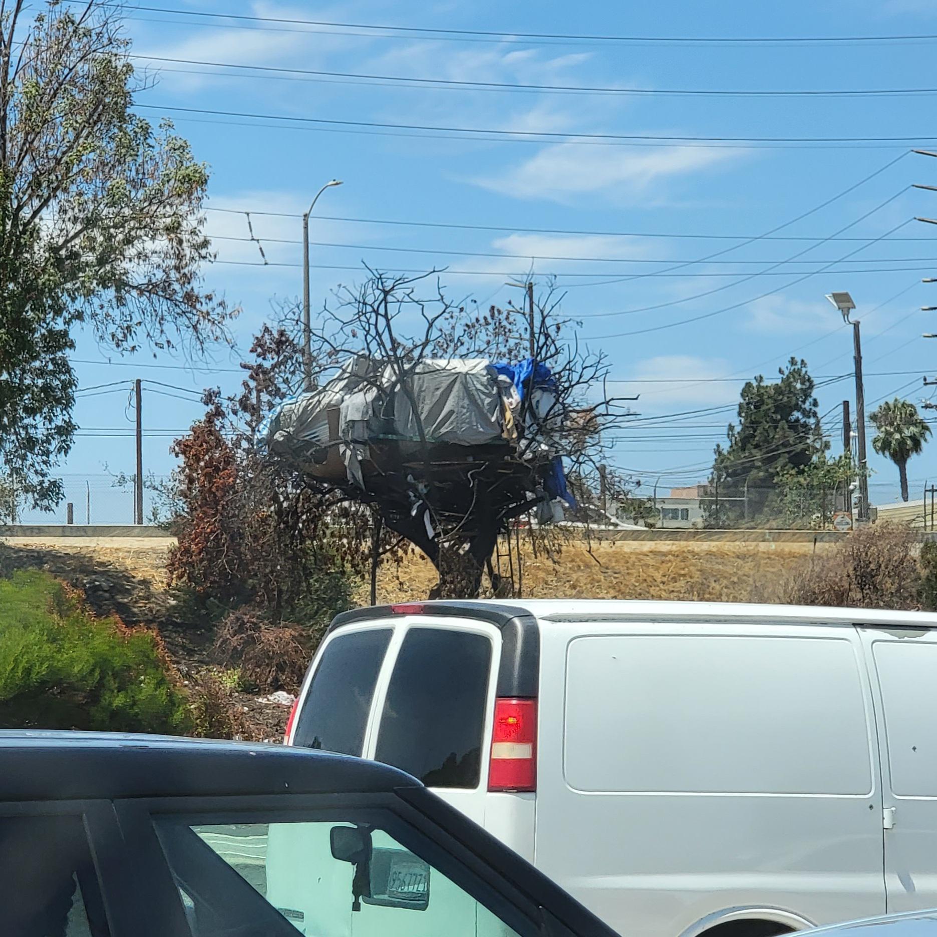 Homeless encampment treehouse in Los Angeles. | Scrolller