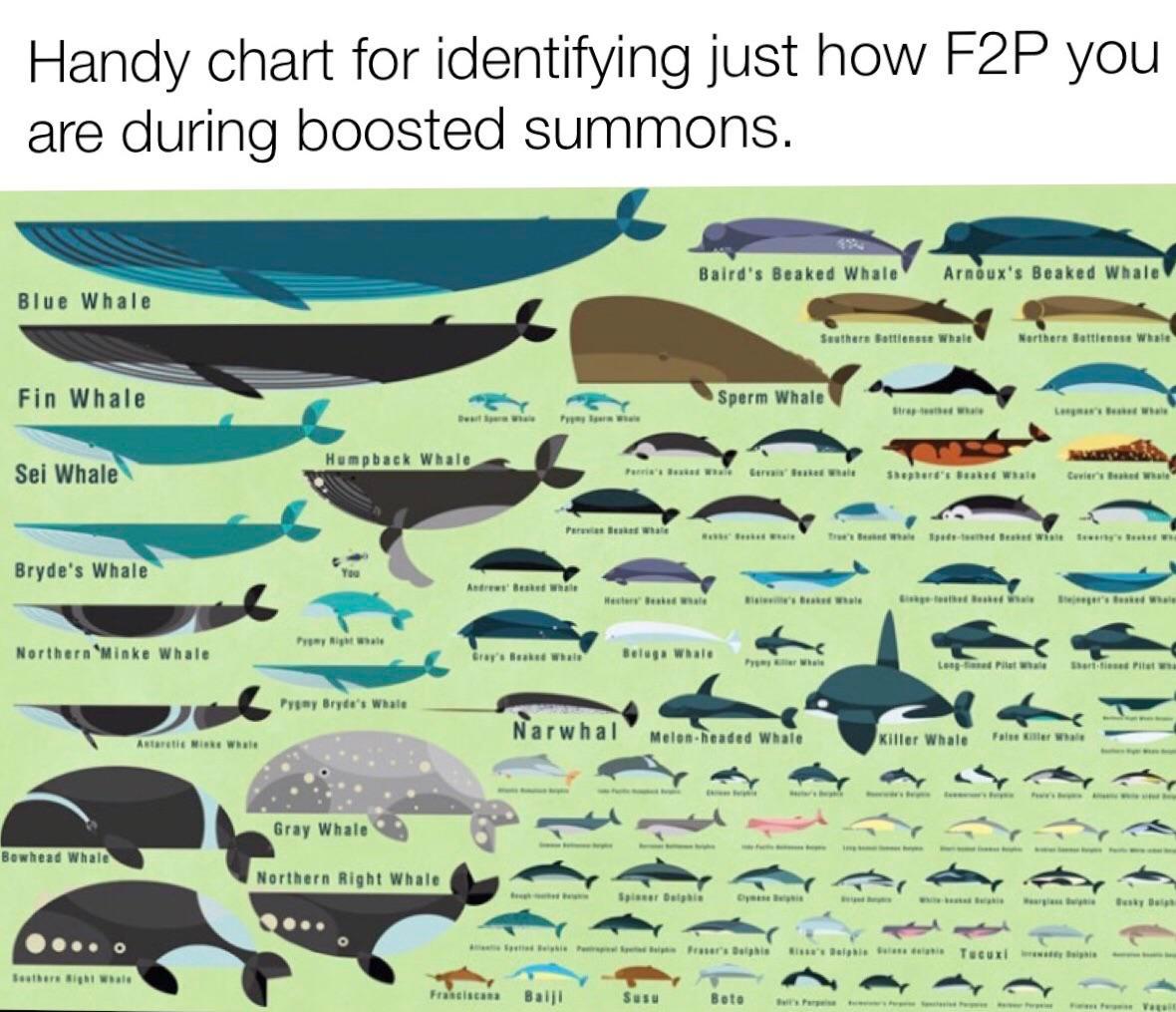 Hope It Helps Scrolller