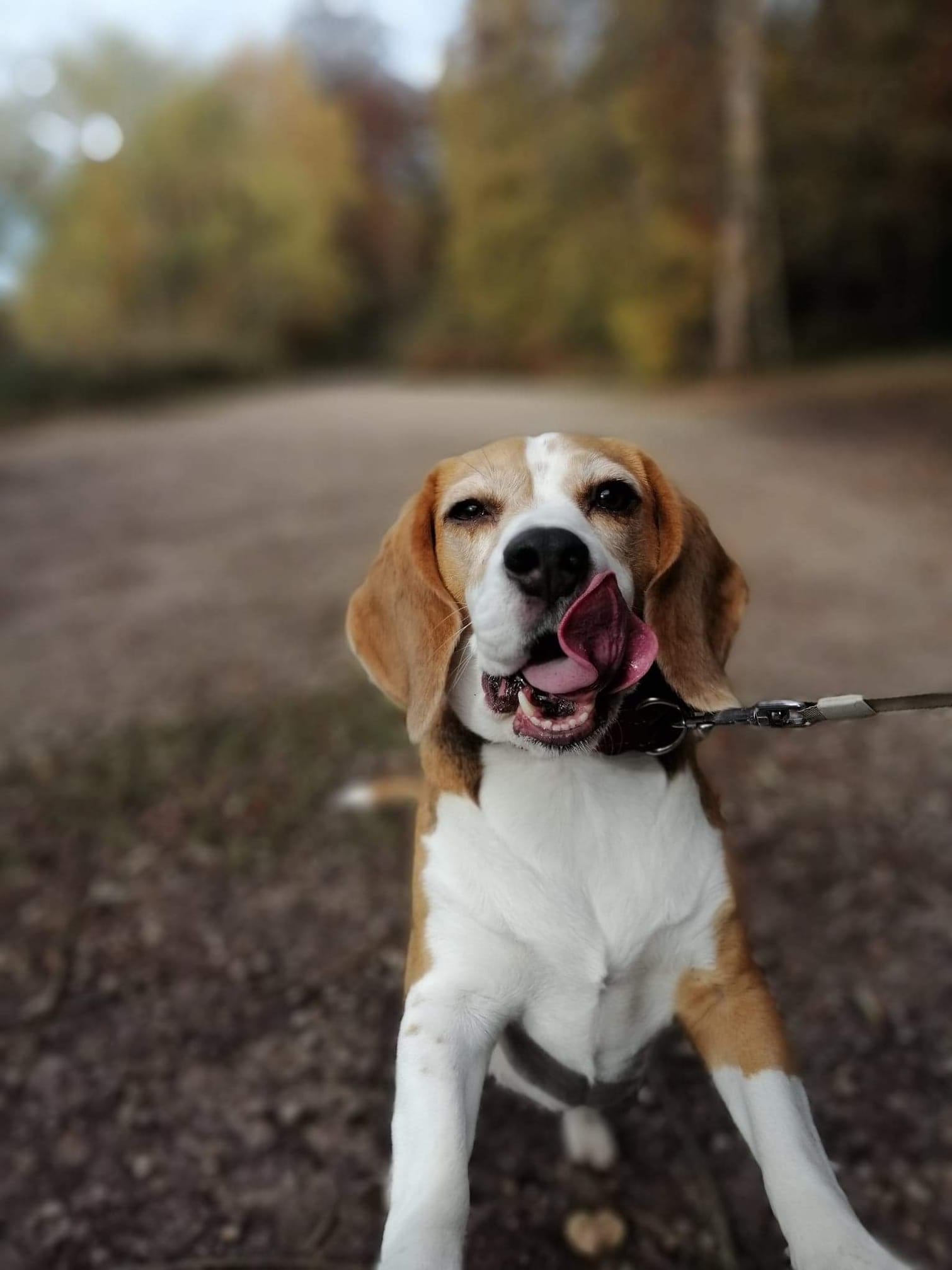 How does all that tongue fit in her mouth! Scrolller