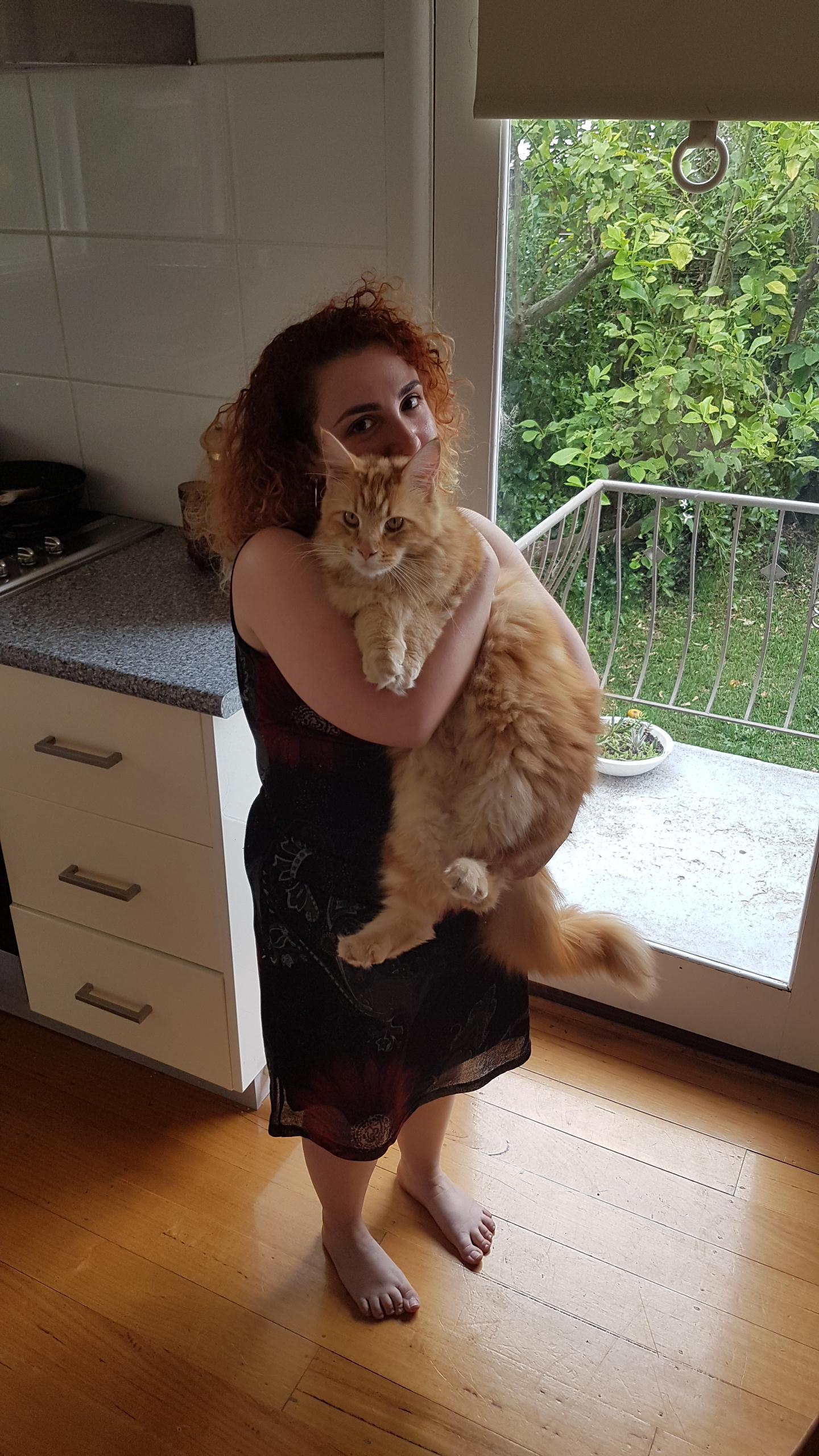 Huge Orange Pussy In The Kitchen Scrolller