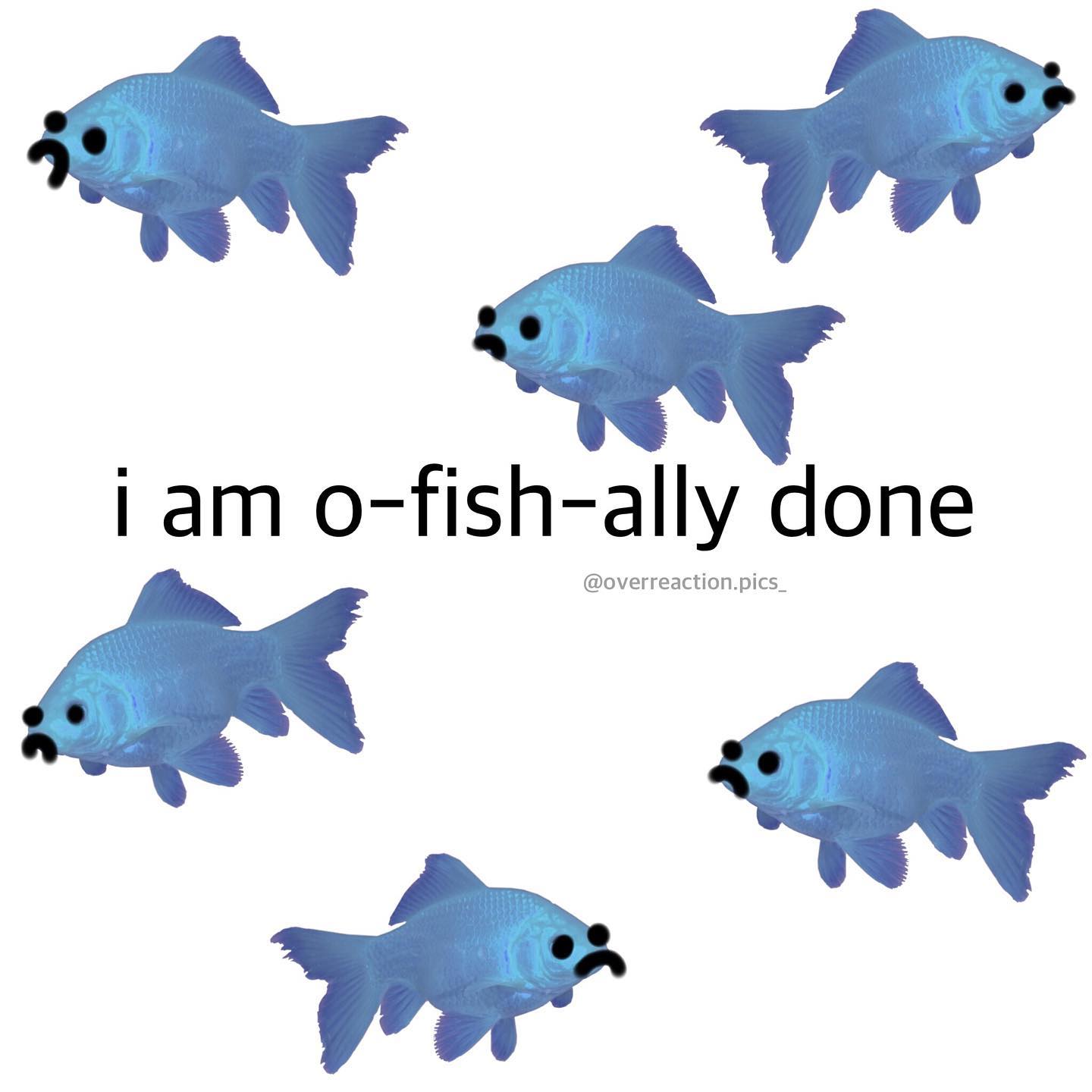 I am o-fish-ally done | Scrolller